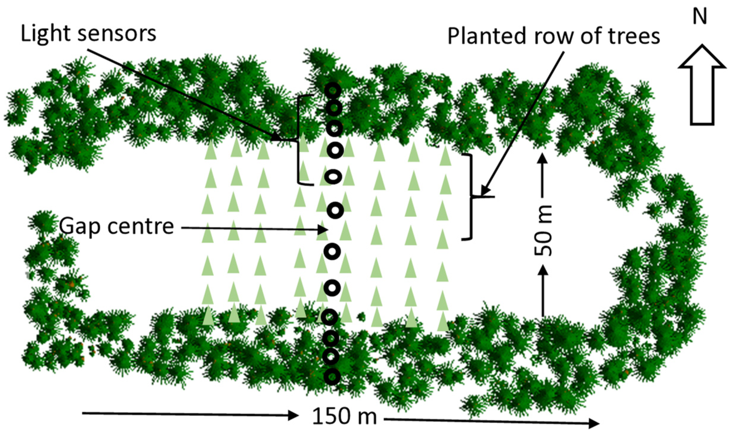Forests 13 00379 g001