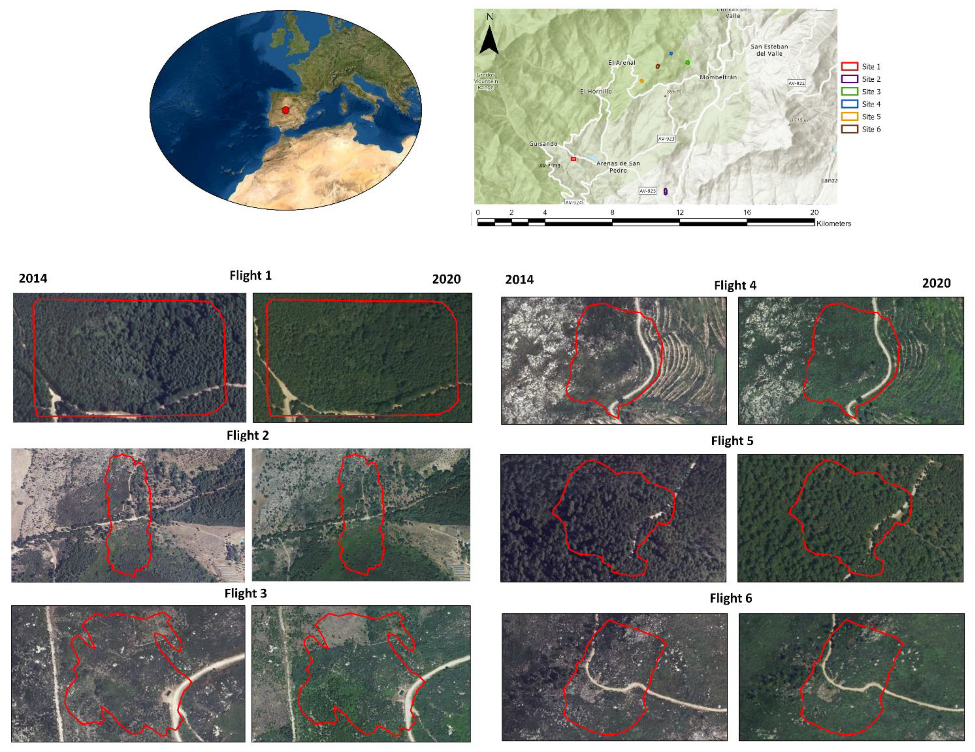 Forests 13 00380 g001 550