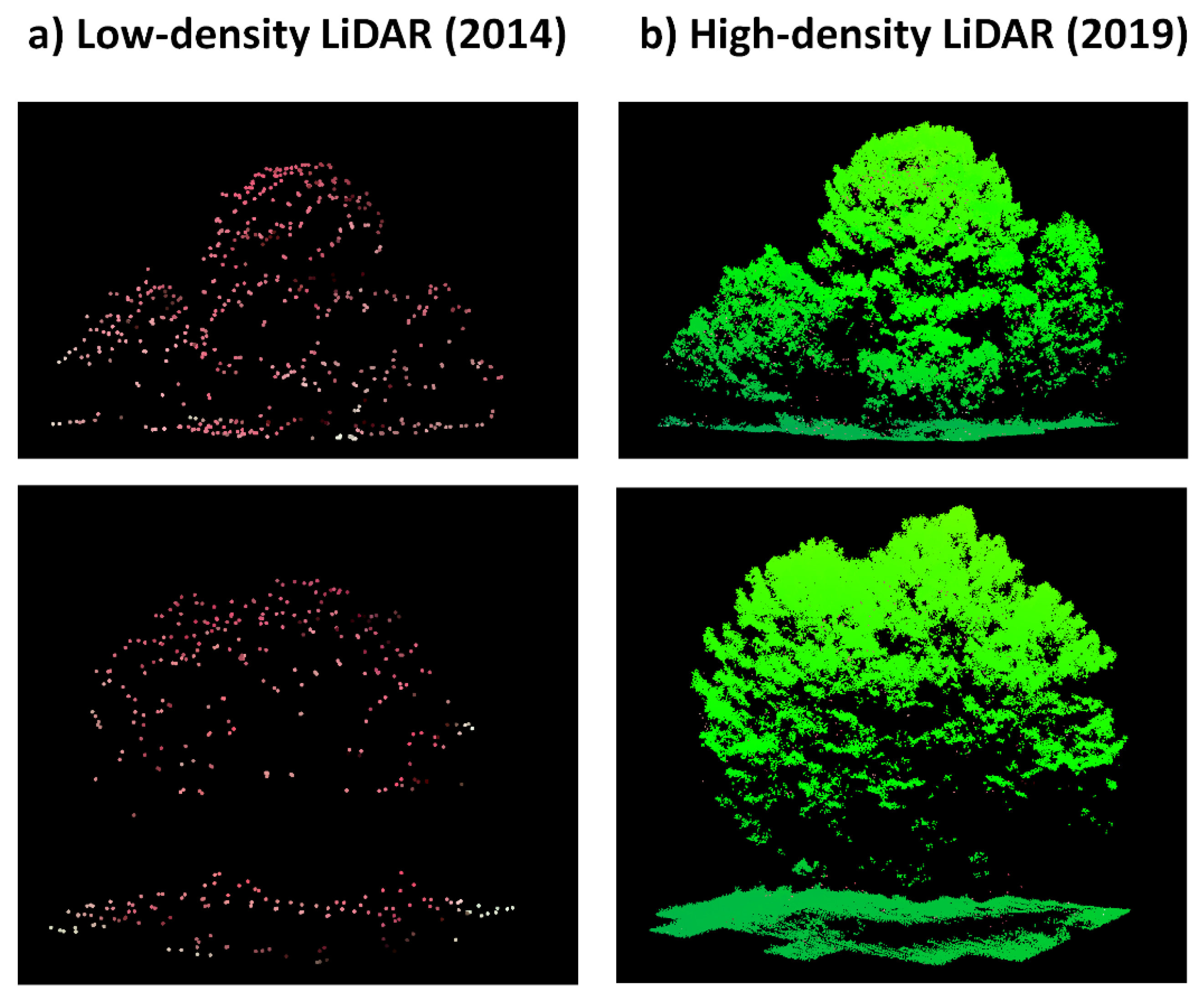 Forests 13 00380 g009 550