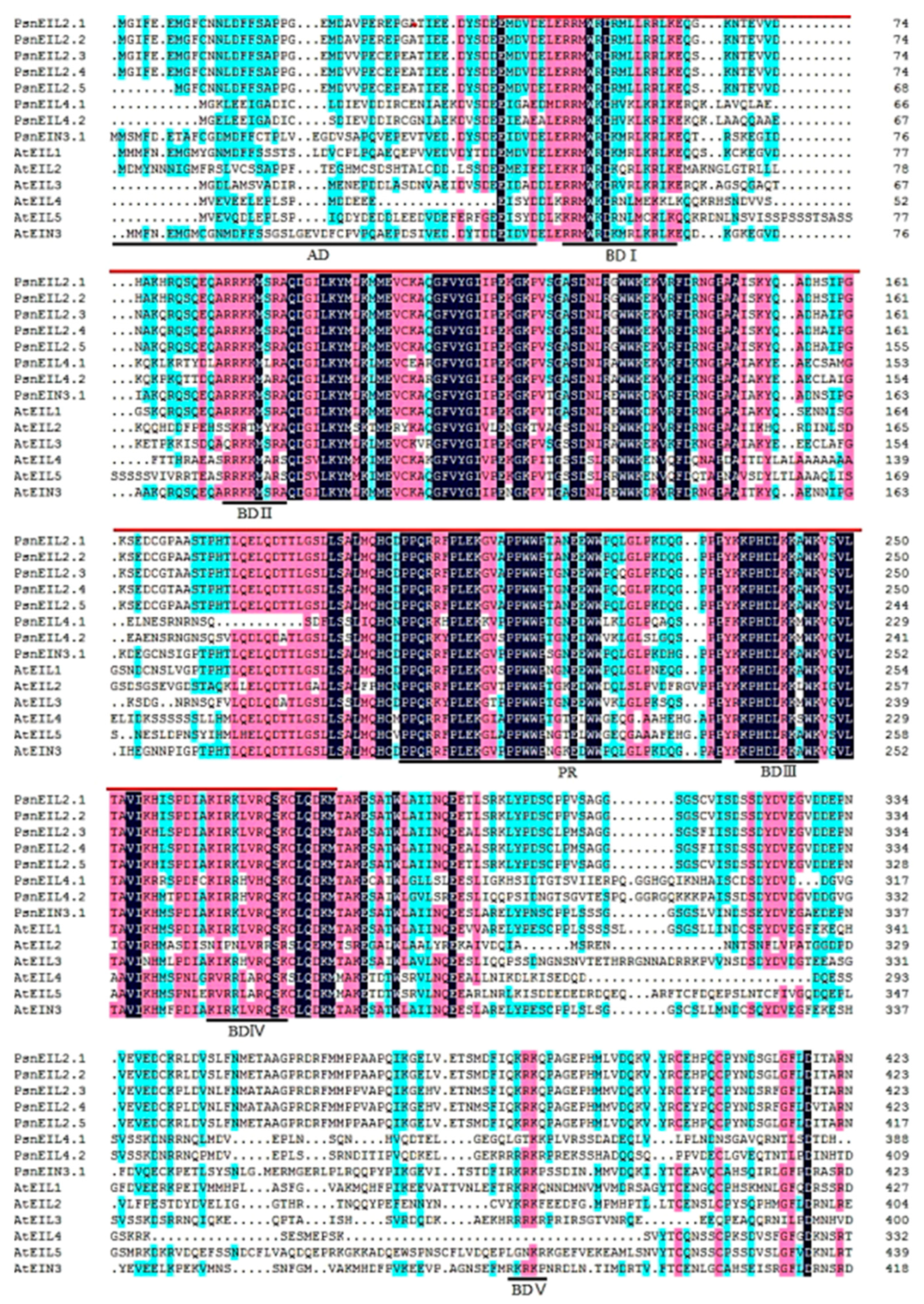 Forests 13 00382 g002 Forests 13 00382 g002