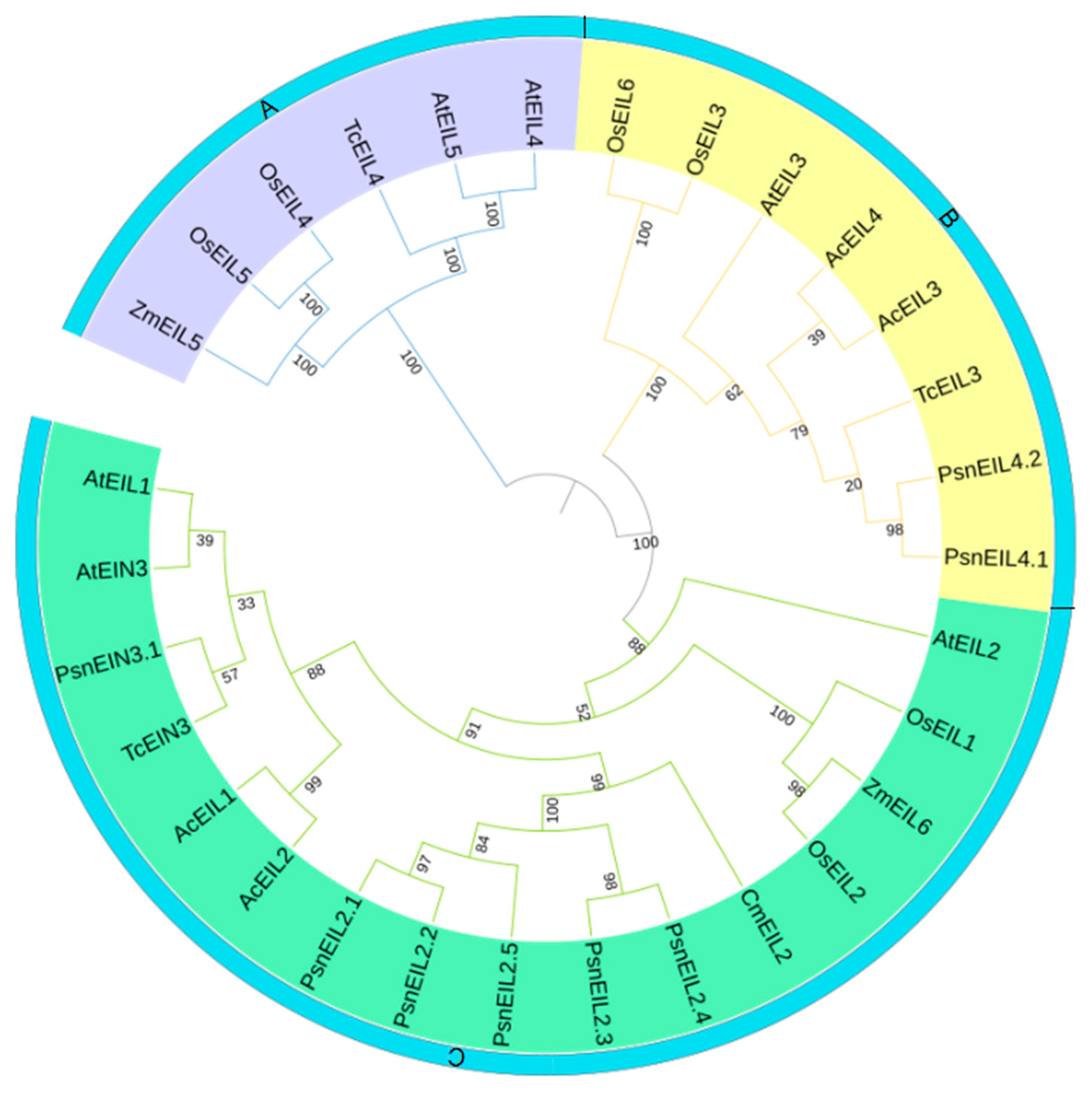 Forests 13 00382 g003 Forests 13 00382 g003