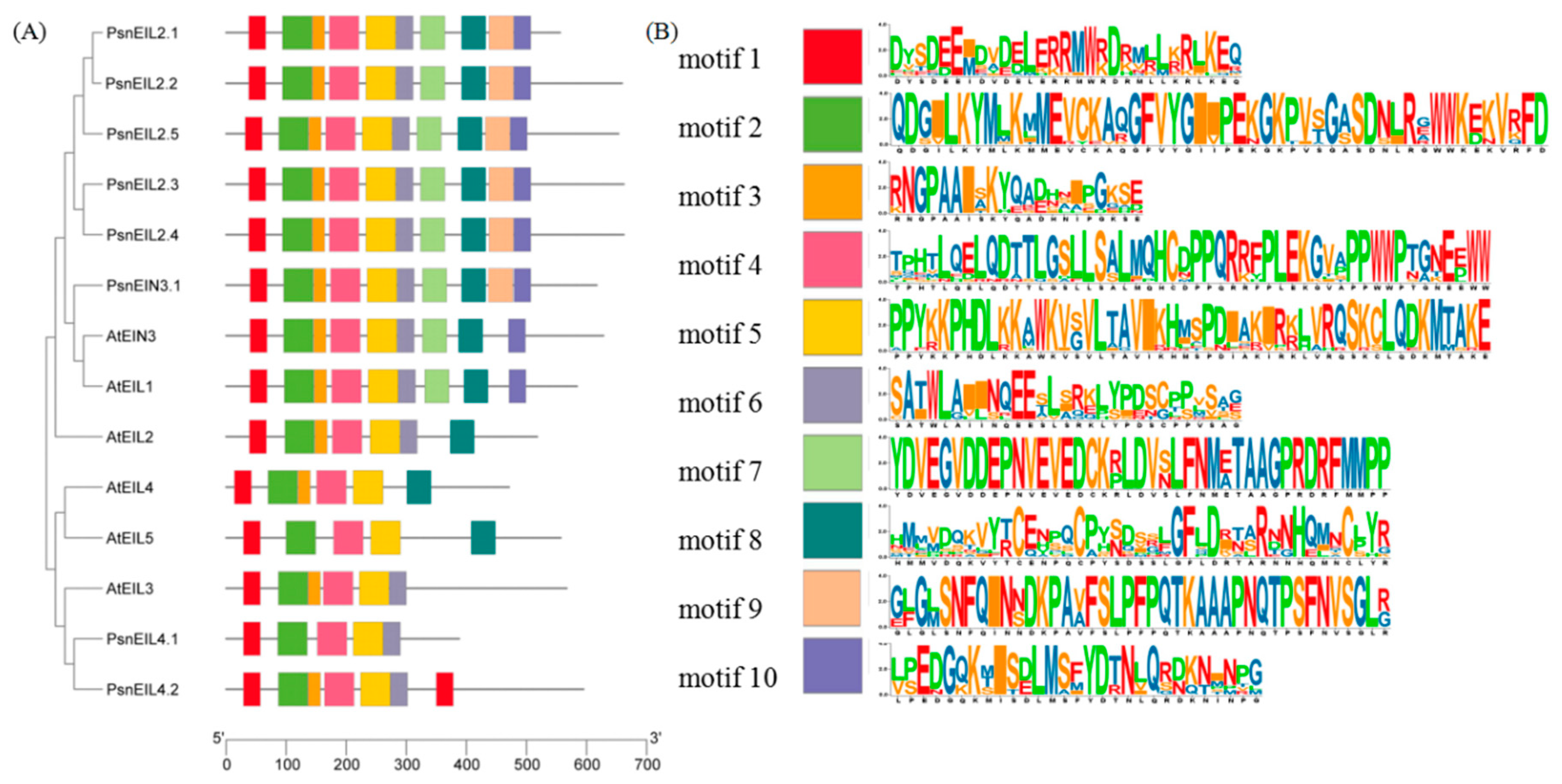 Forests 13 00382 g004 Forests 13 00382 g004