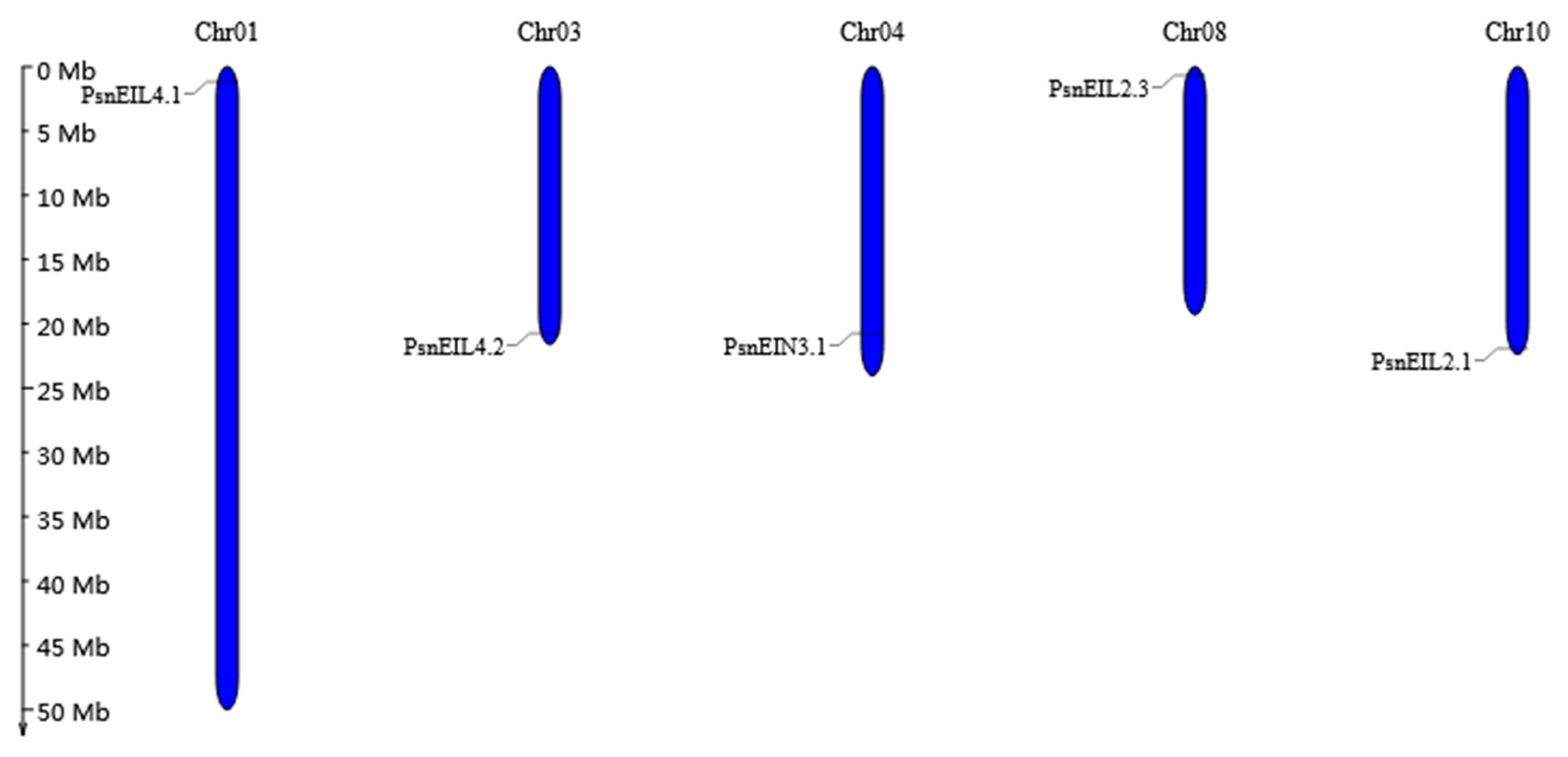 Forests 13 00382 g005 Forests 13 00382 g005