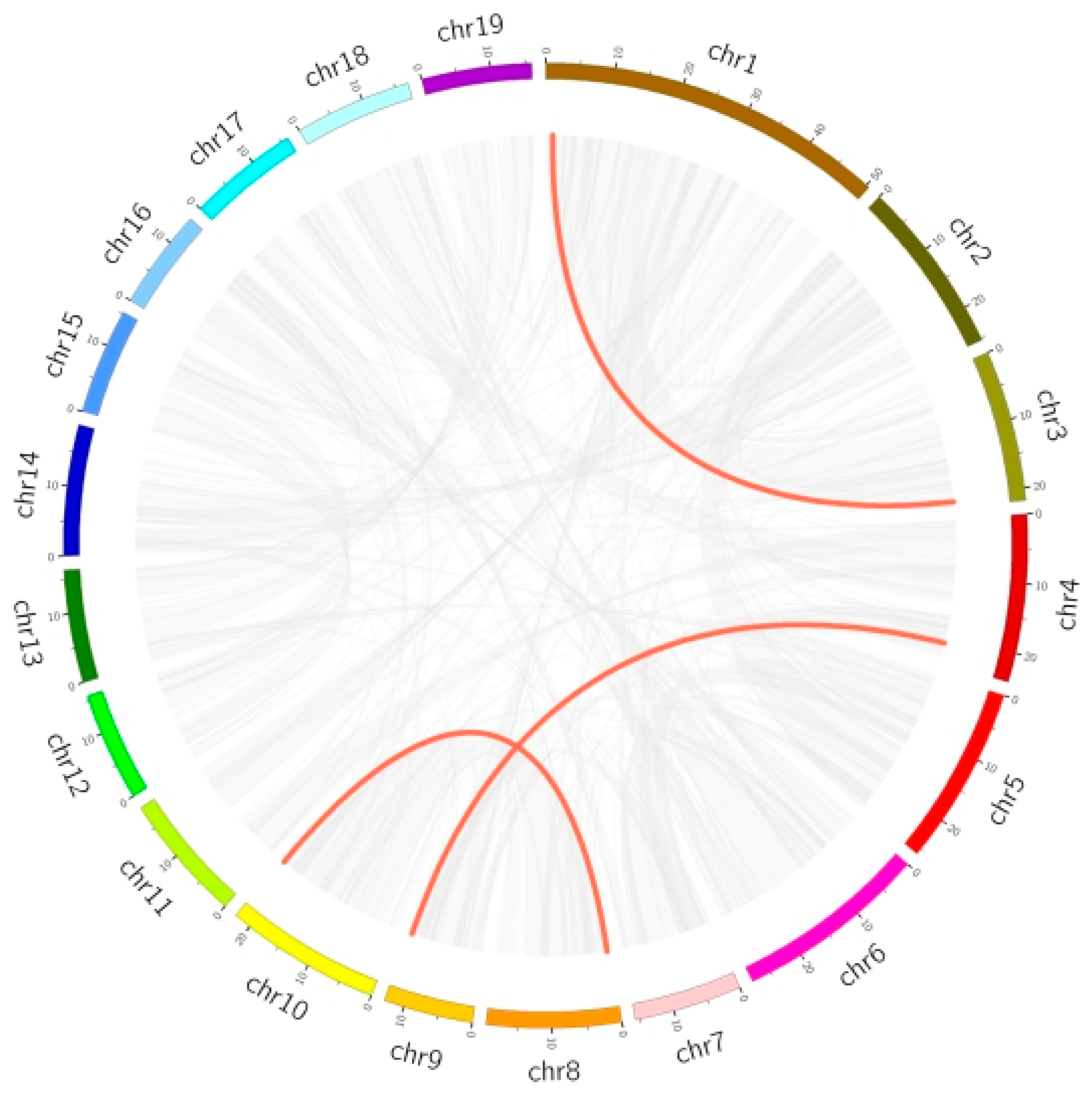 Forests 13 00382 g006 Forests 13 00382 g006