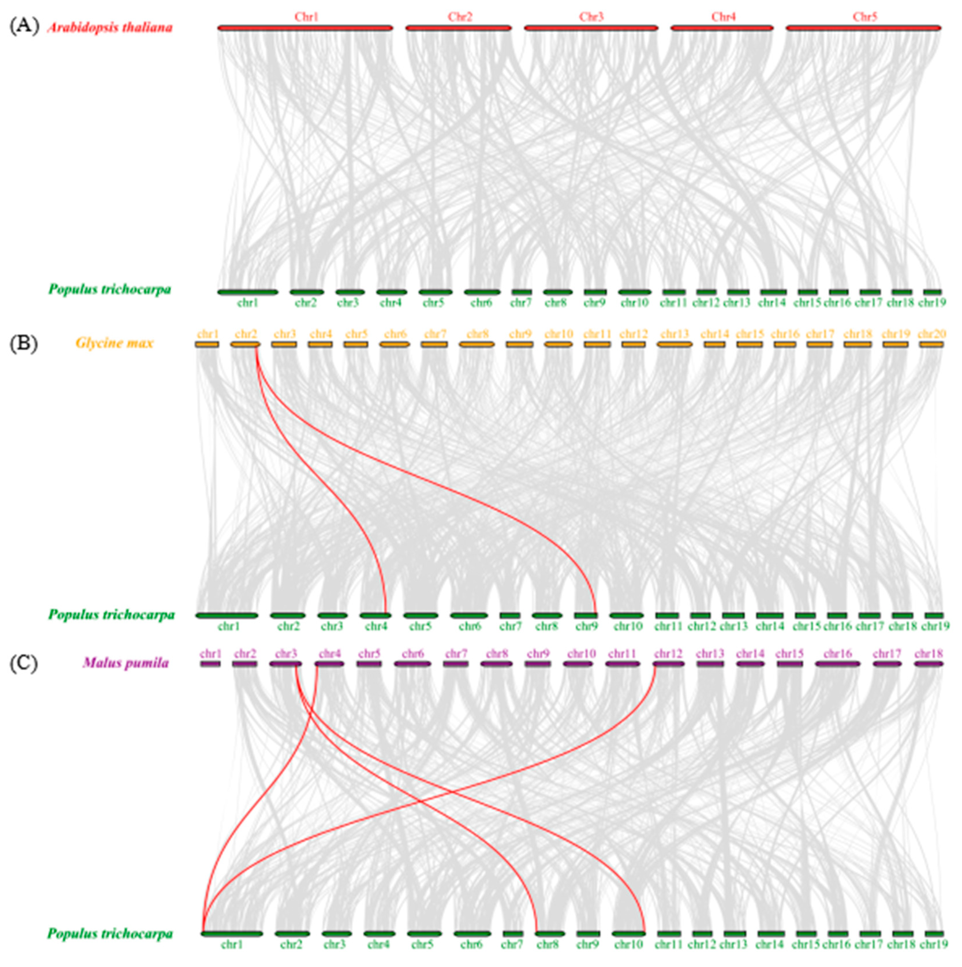 Forests 13 00382 g007 Forests 13 00382 g007