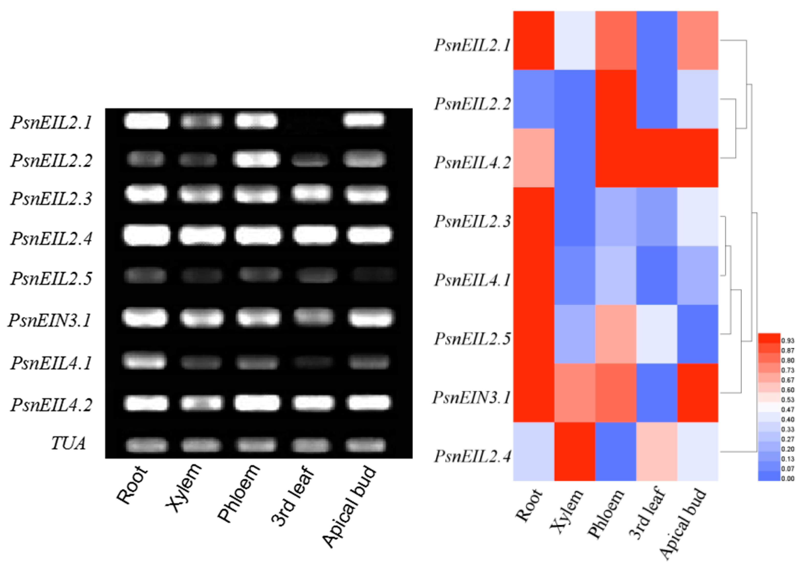 Forests 13 00382 g008 Forests 13 00382 g008