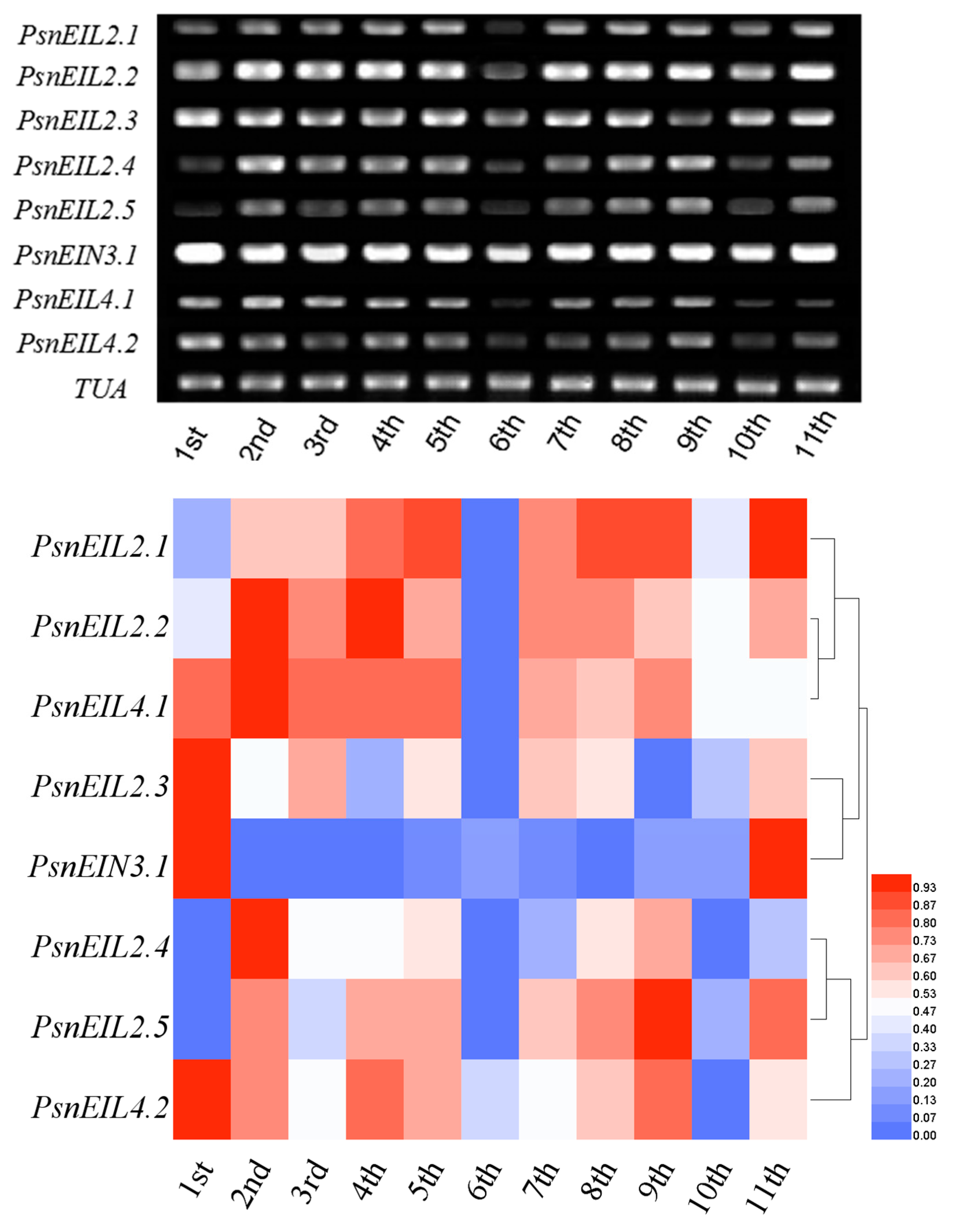 Forests 13 00382 g009 Forests 13 00382 g009