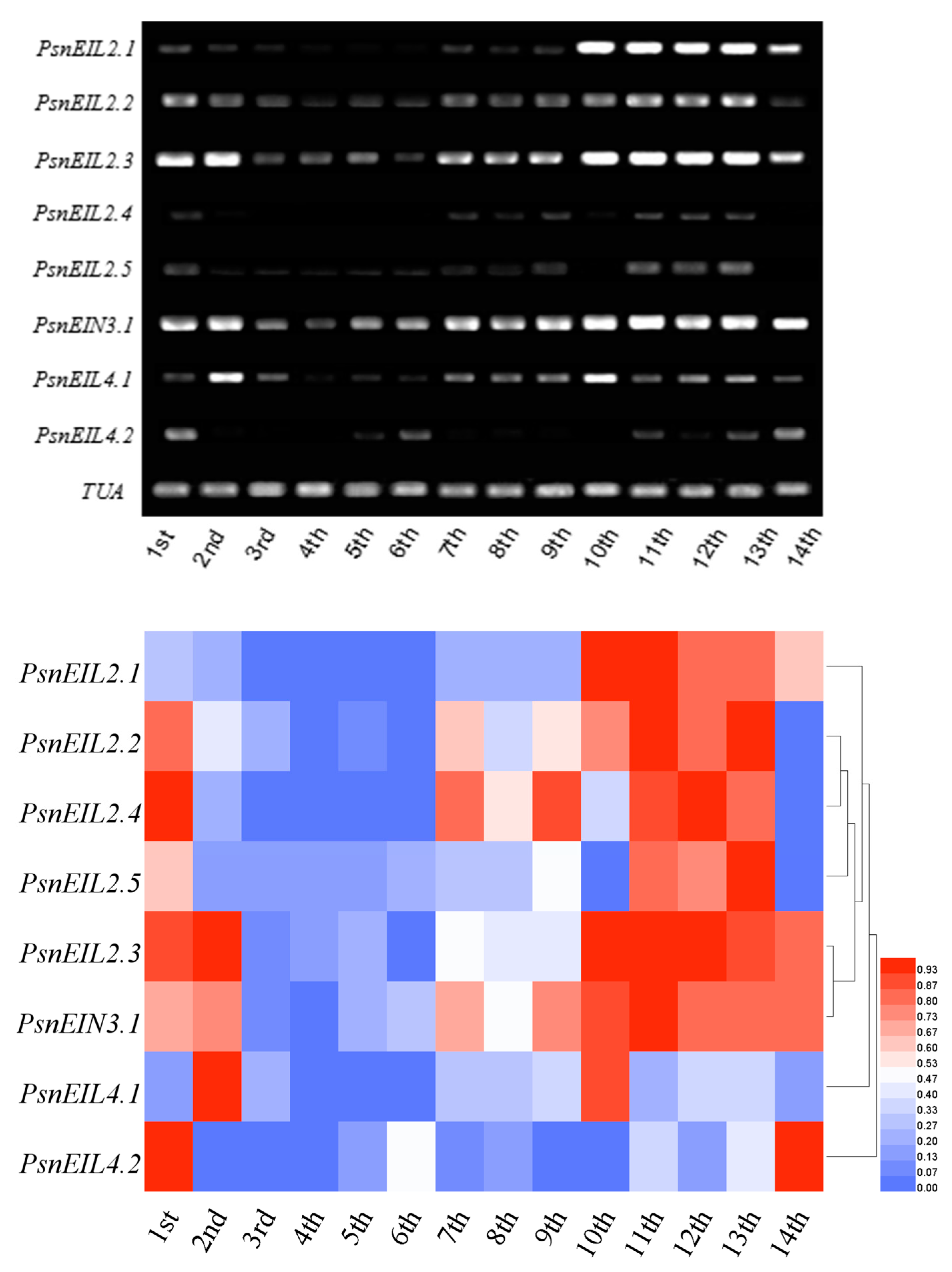 Forests 13 00382 g010 Forests 13 00382 g010