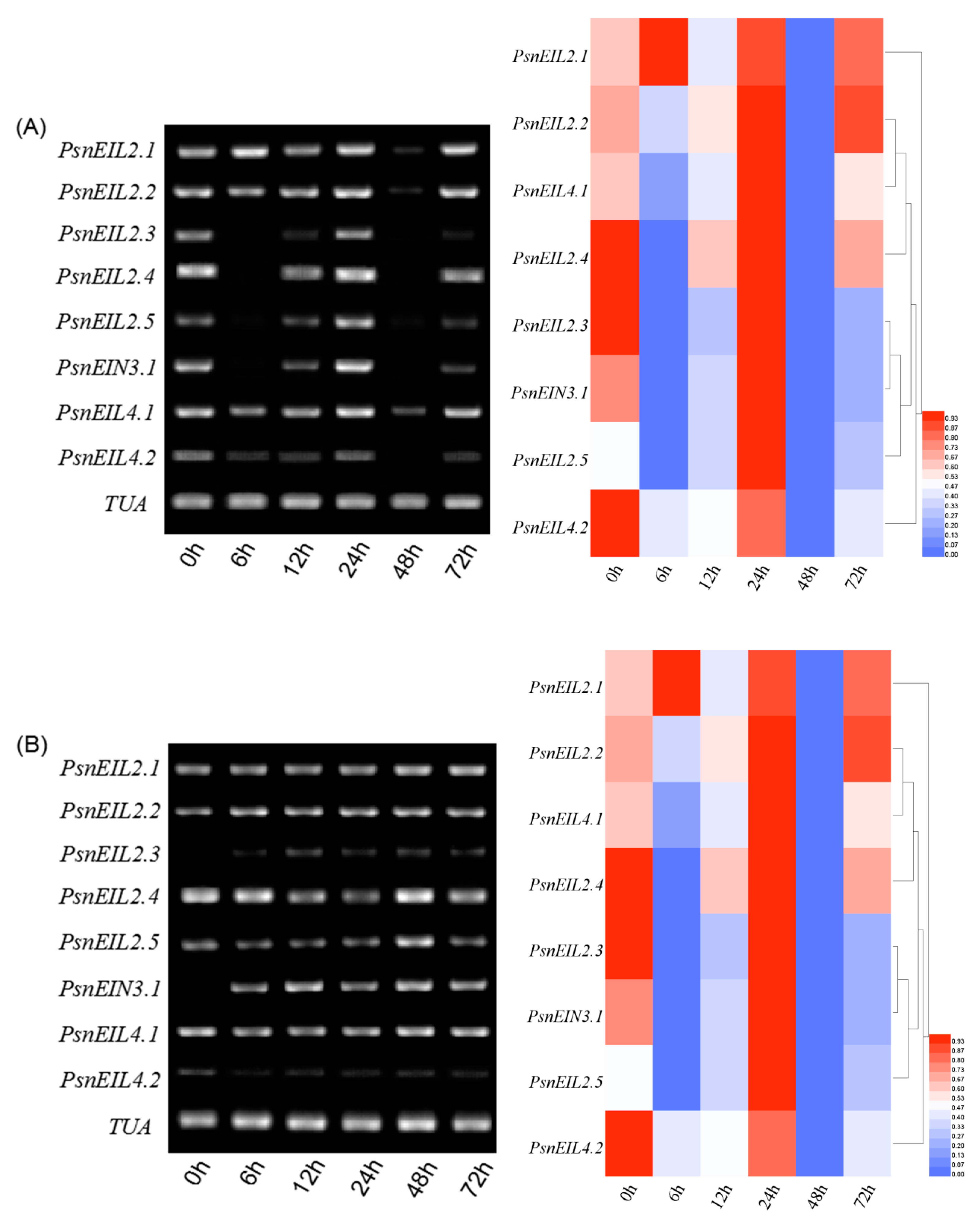 Forests 13 00382 g011 Forests 13 00382 g011