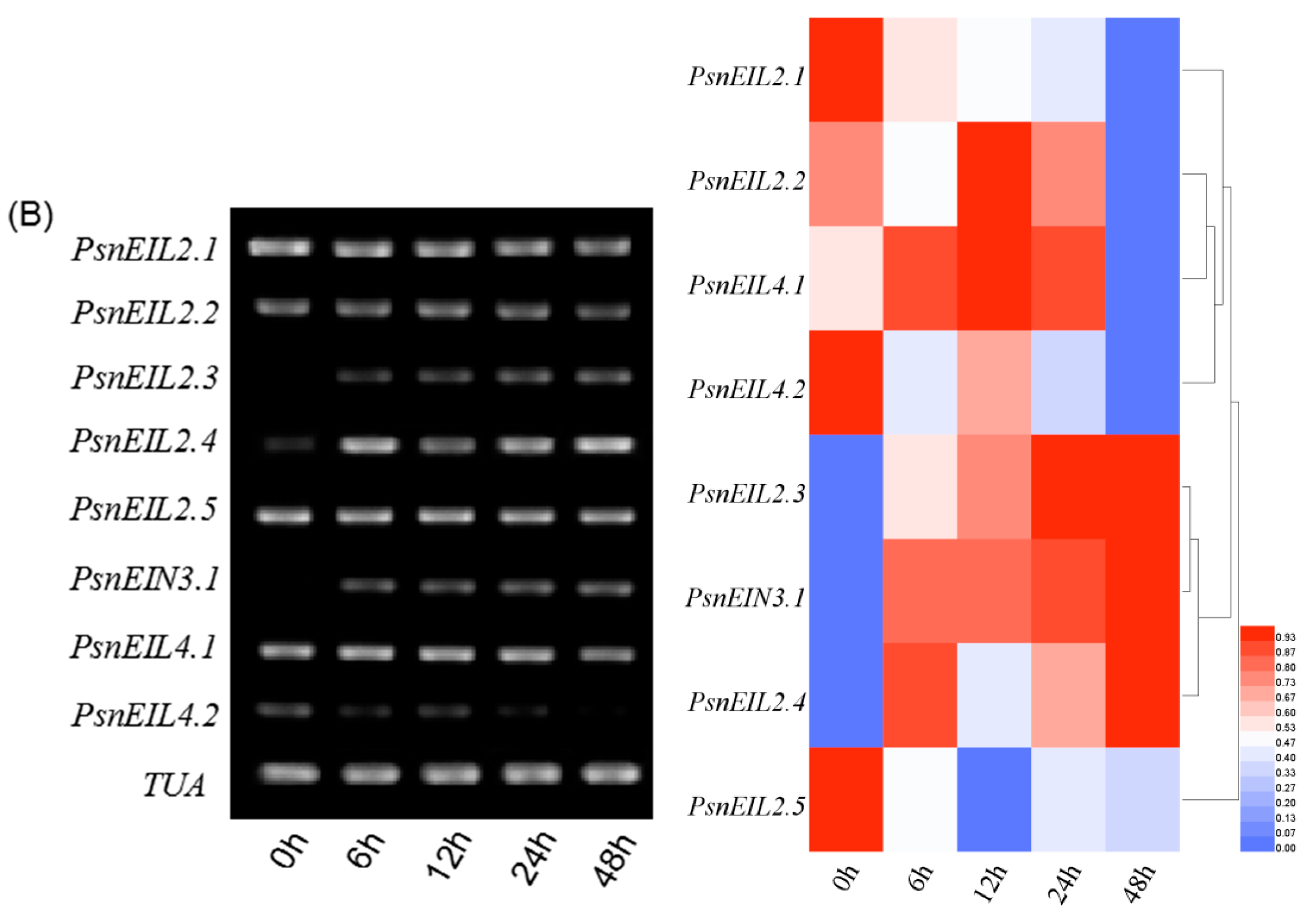 Forests 13 00382 g012b Forests 13 00382 g012b