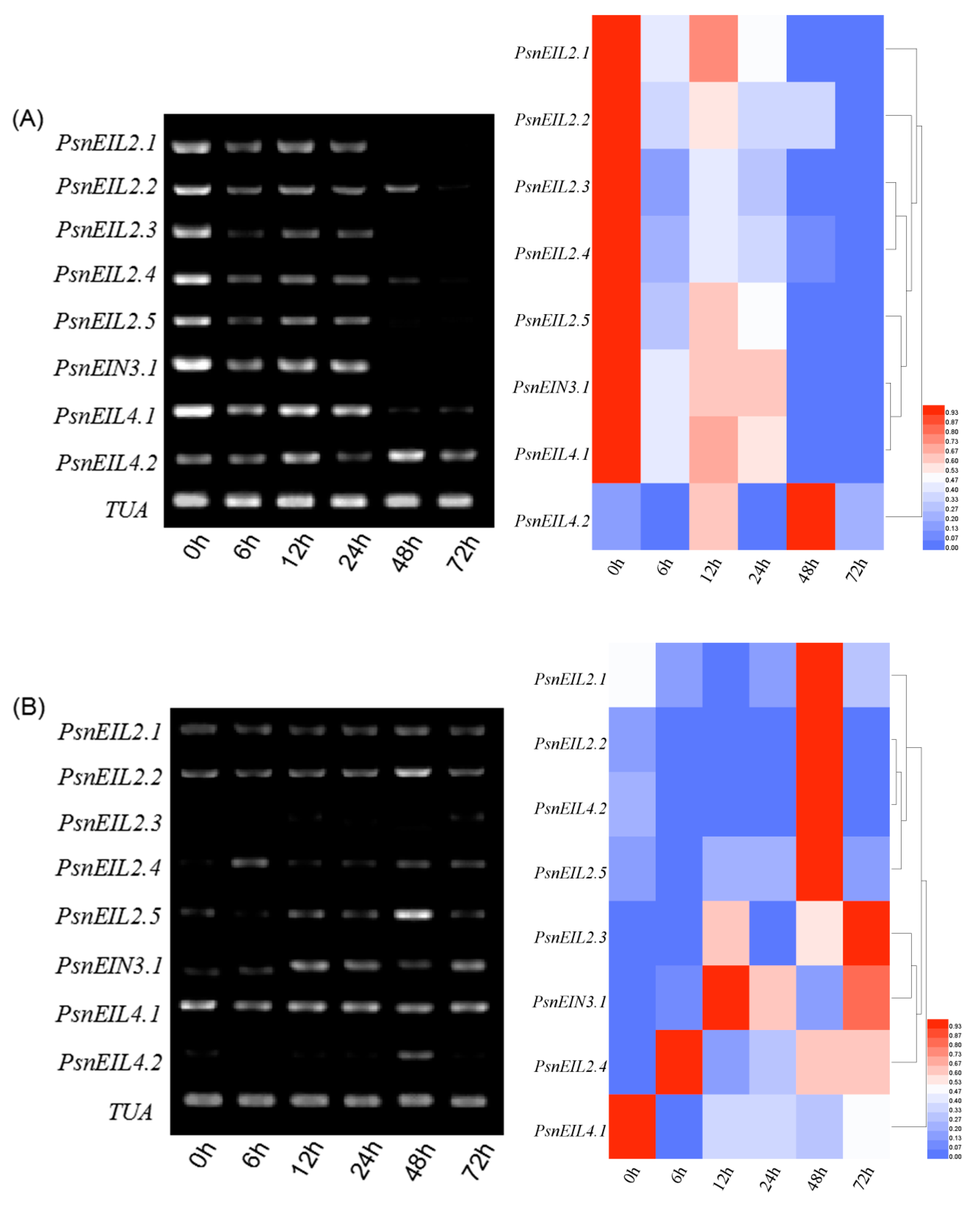 Forests 13 00382 g013 Forests 13 00382 g013