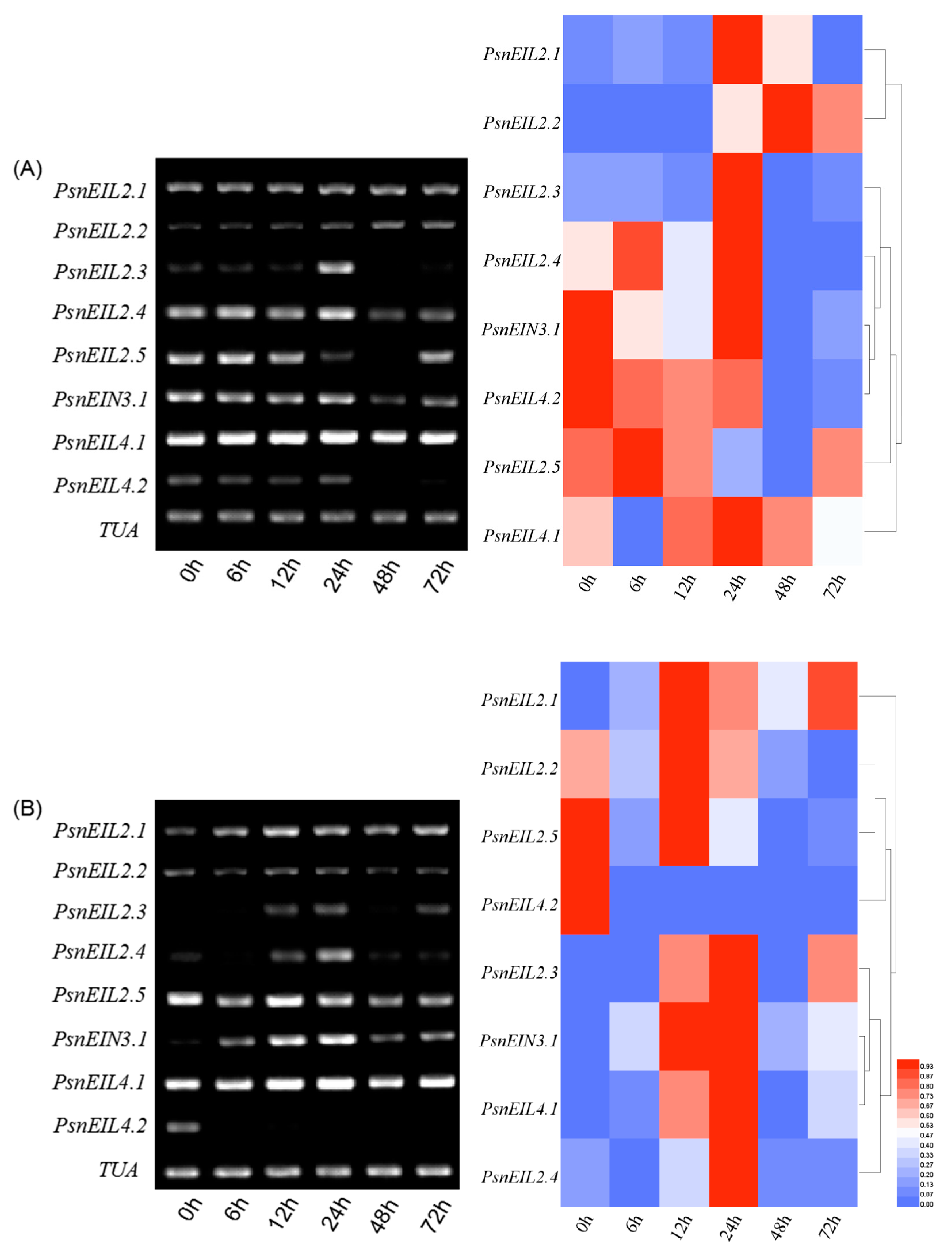Forests 13 00382 g014 Forests 13 00382 g014