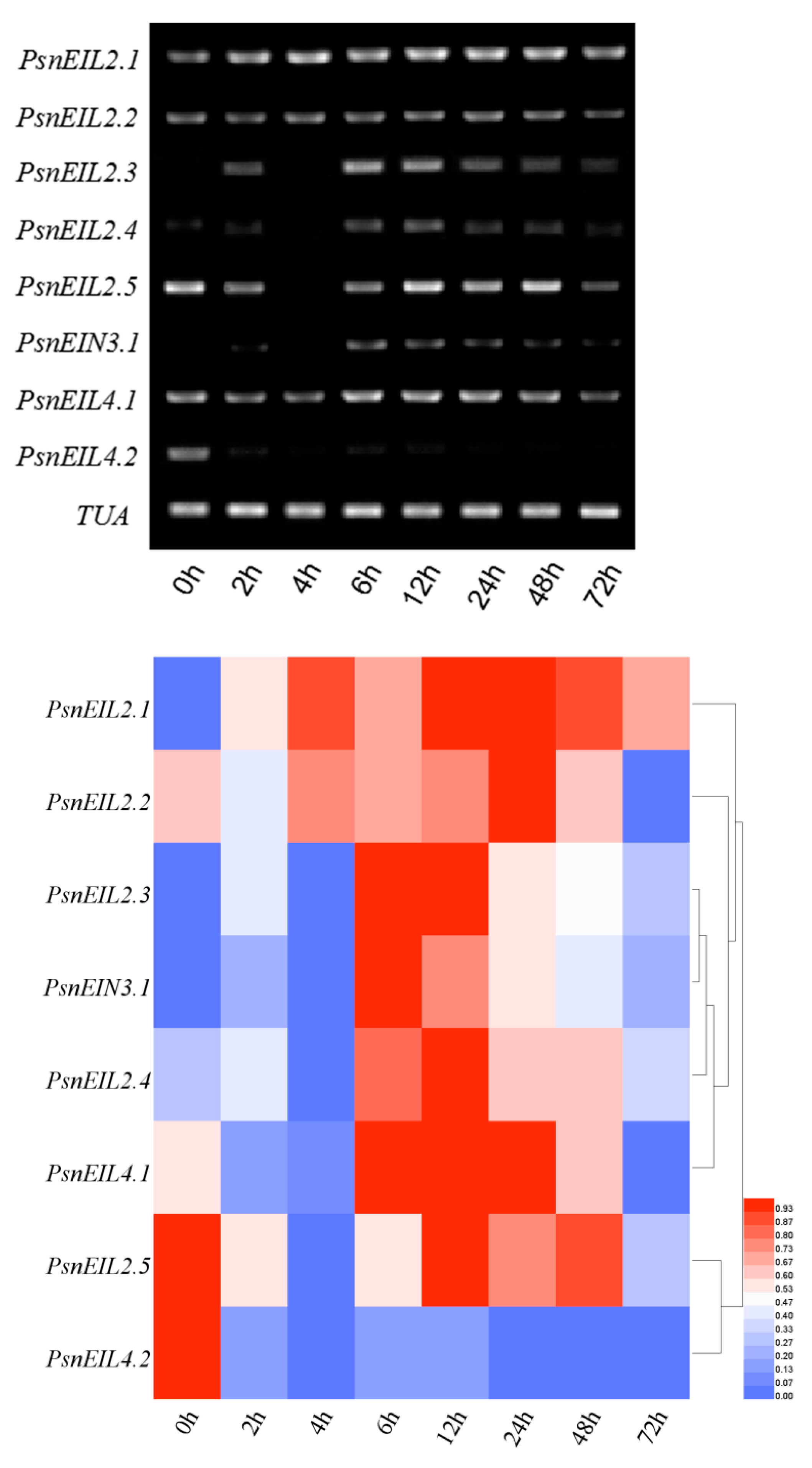 Forests 13 00382 g015 Forests 13 00382 g015