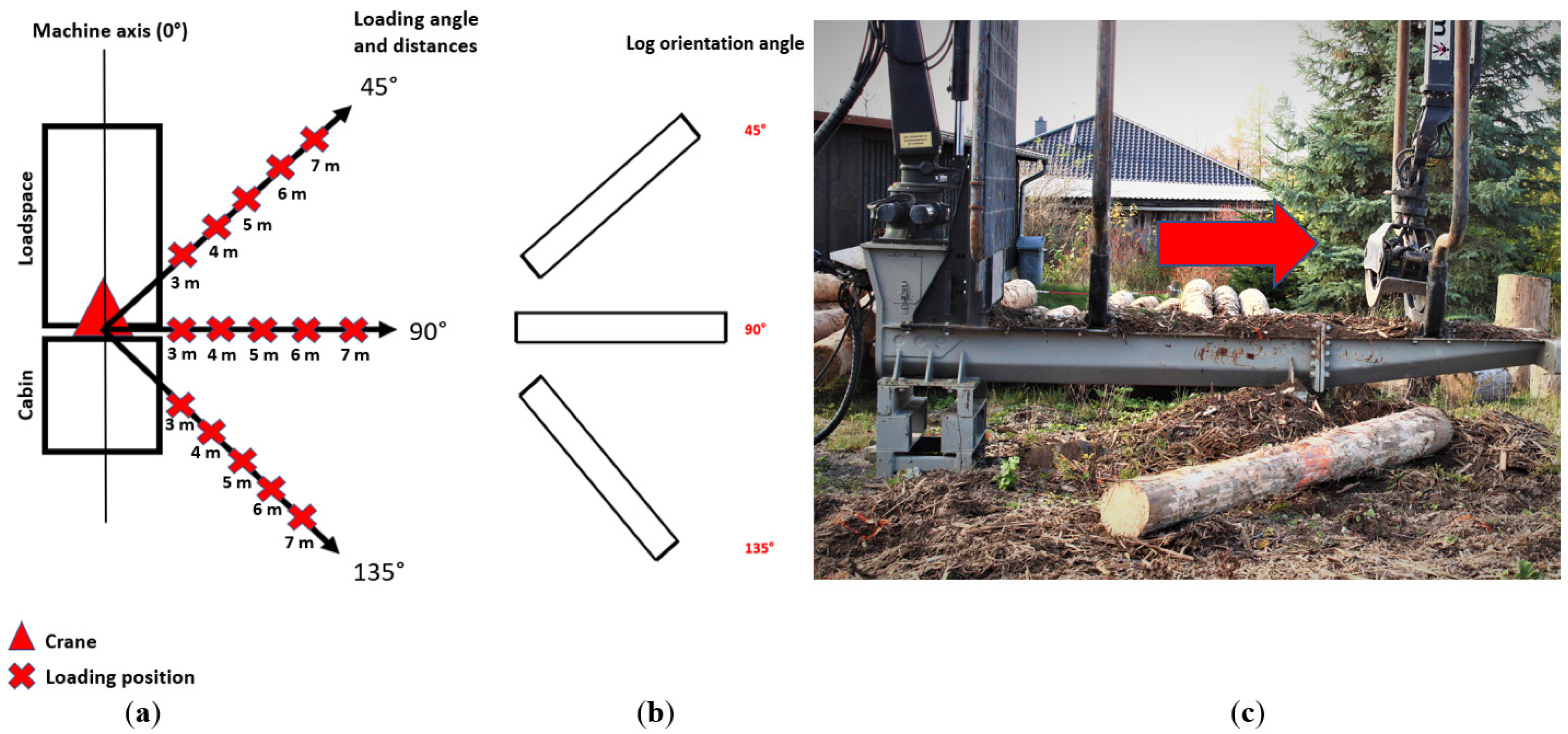 Forests 13 00384 g002
