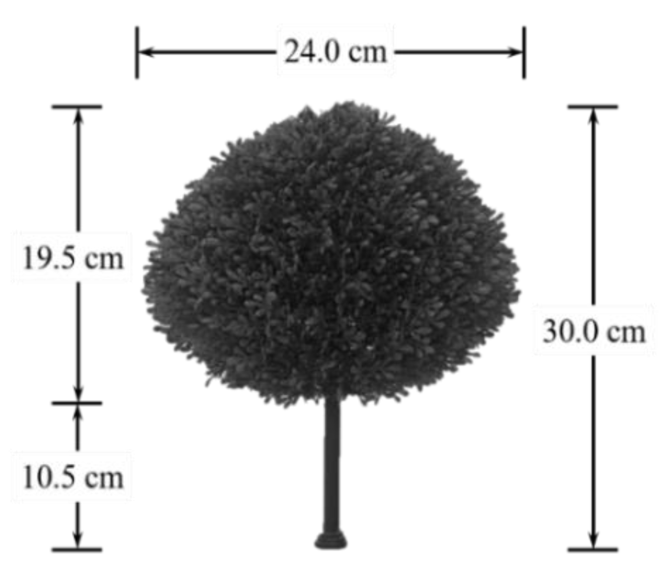 Forests 13 00392 g004