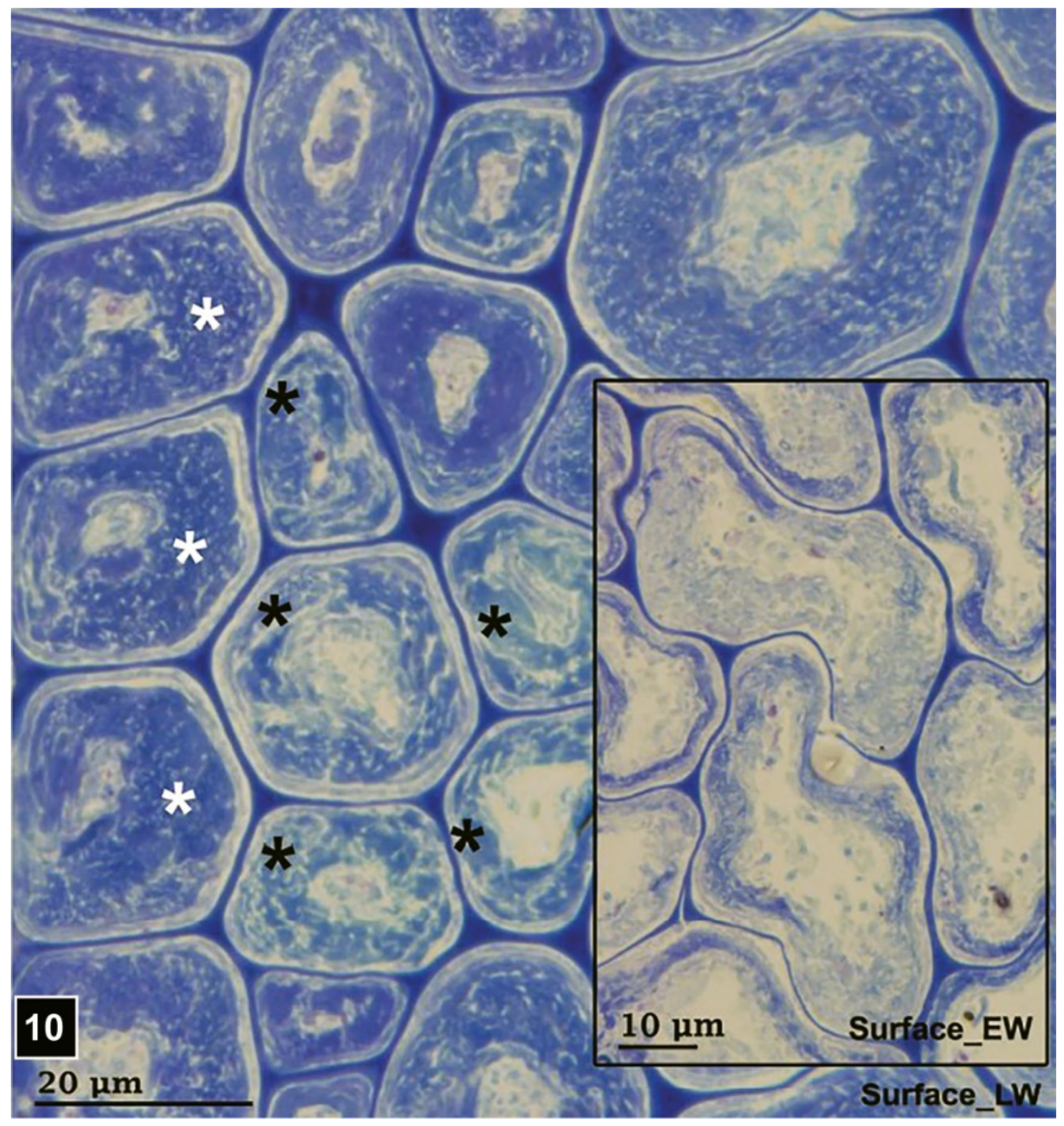 Forests 13 00394 g010