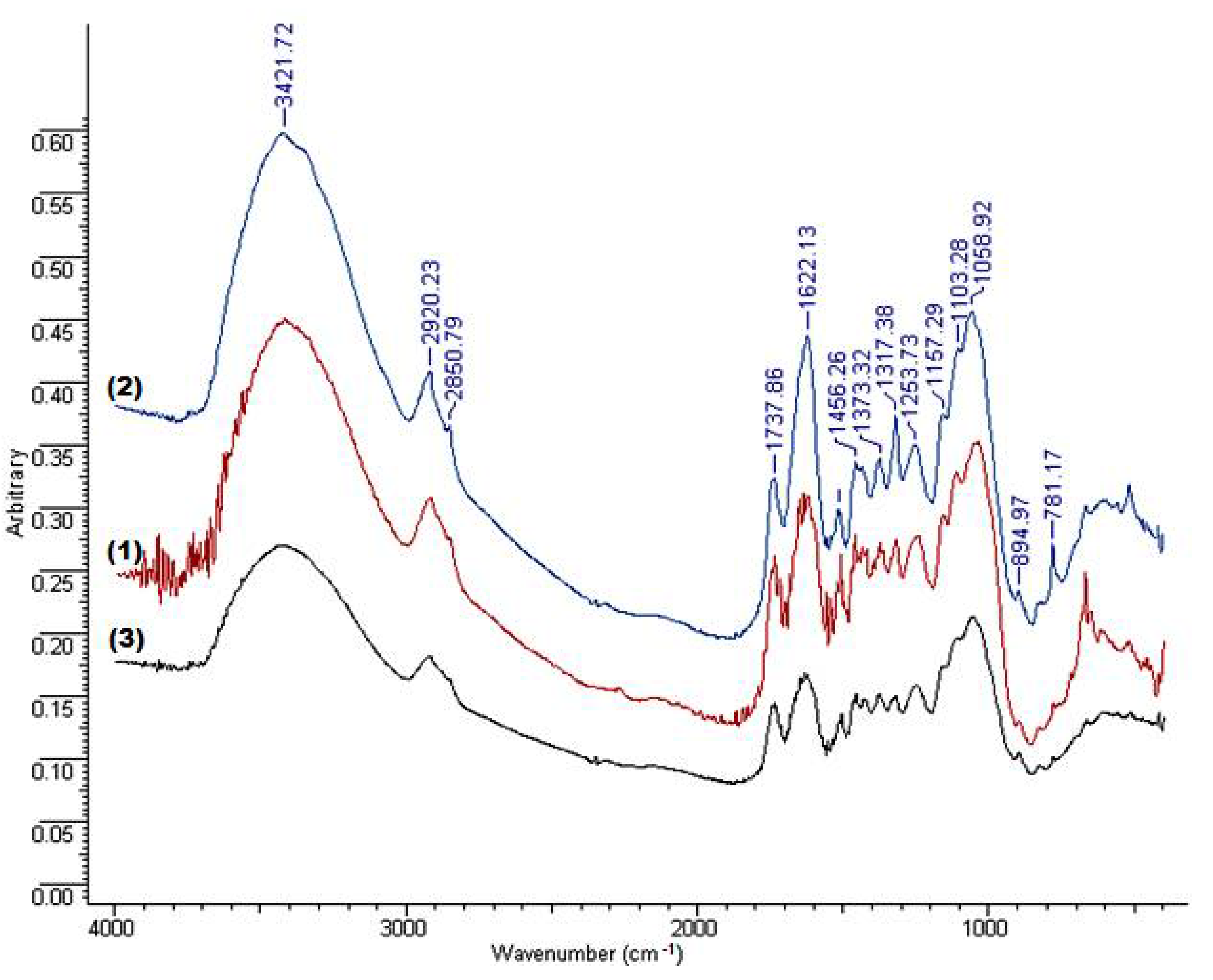 Forests 13 00405 g004