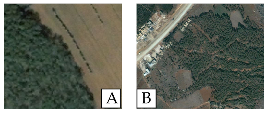 Forests 13 00412 g014 Forests 13 00412 g014