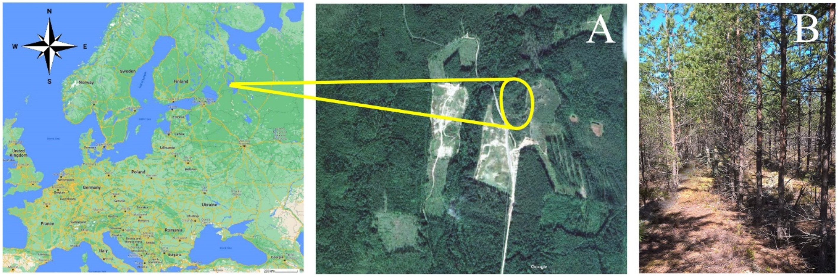 Forests 13 00417 g001 Forests 13 00417 g001