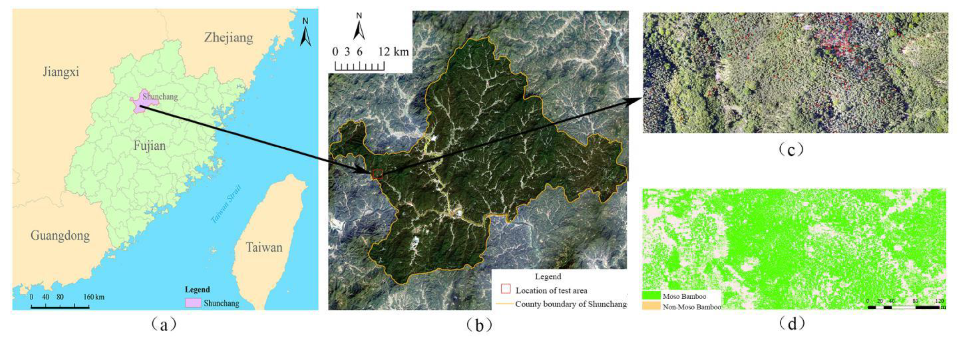Forests 13 00418 g001 Forests 13 00418 g001