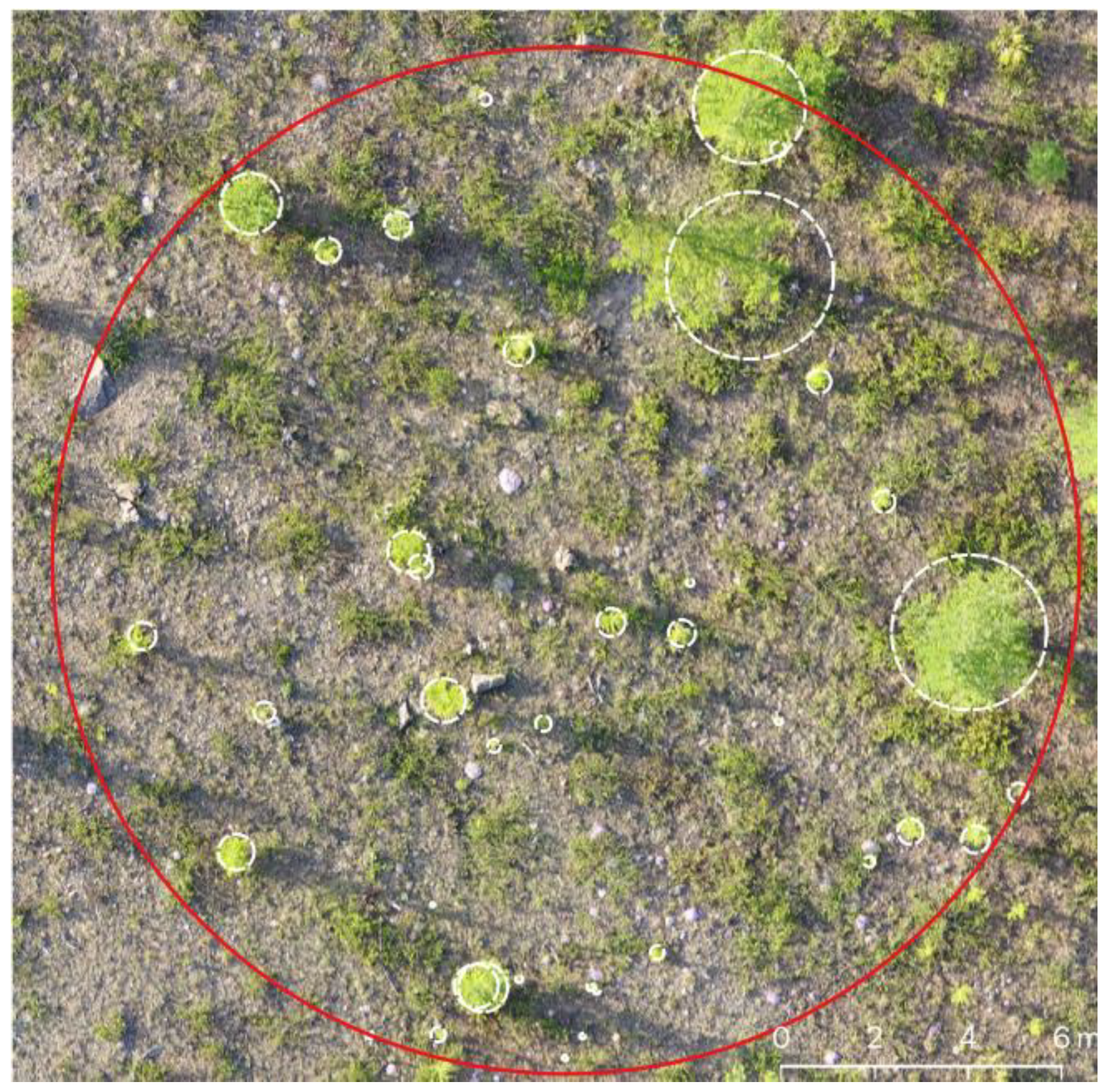 Forests 13 00419 g002 Forests 13 00419 g002