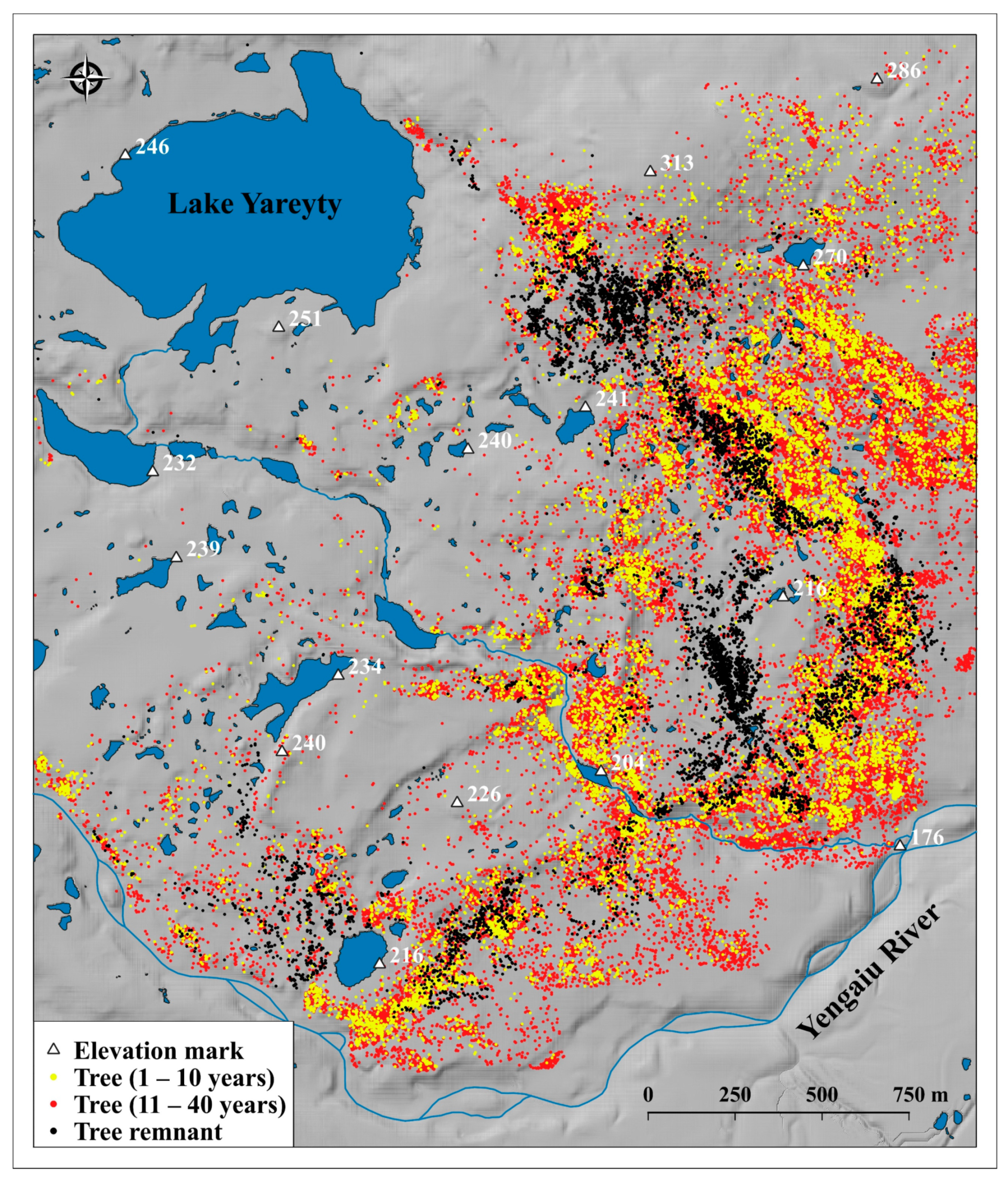 Forests 13 00419 g006 Forests 13 00419 g006