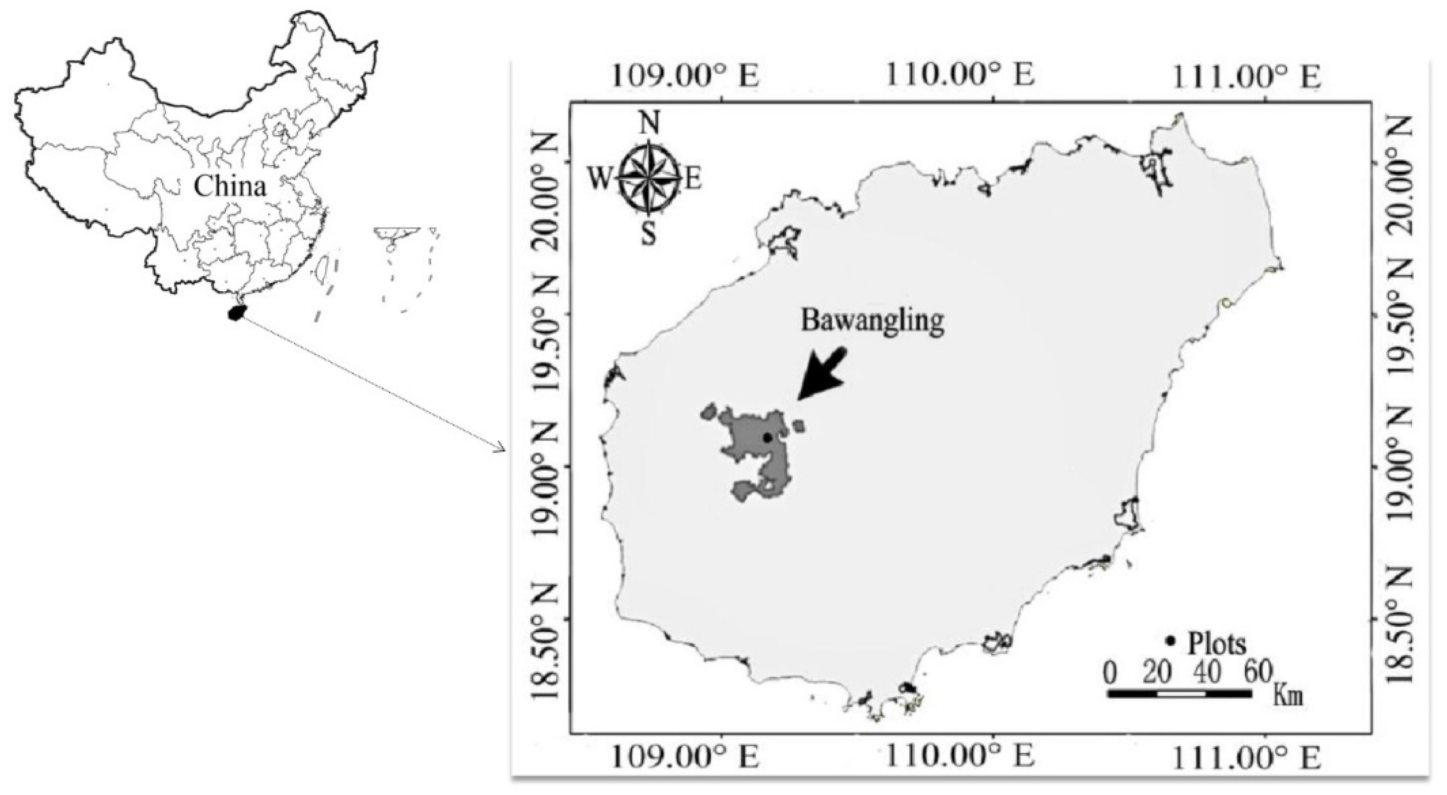 Forests 13 00421 g001 Forests 13 00421 g001
