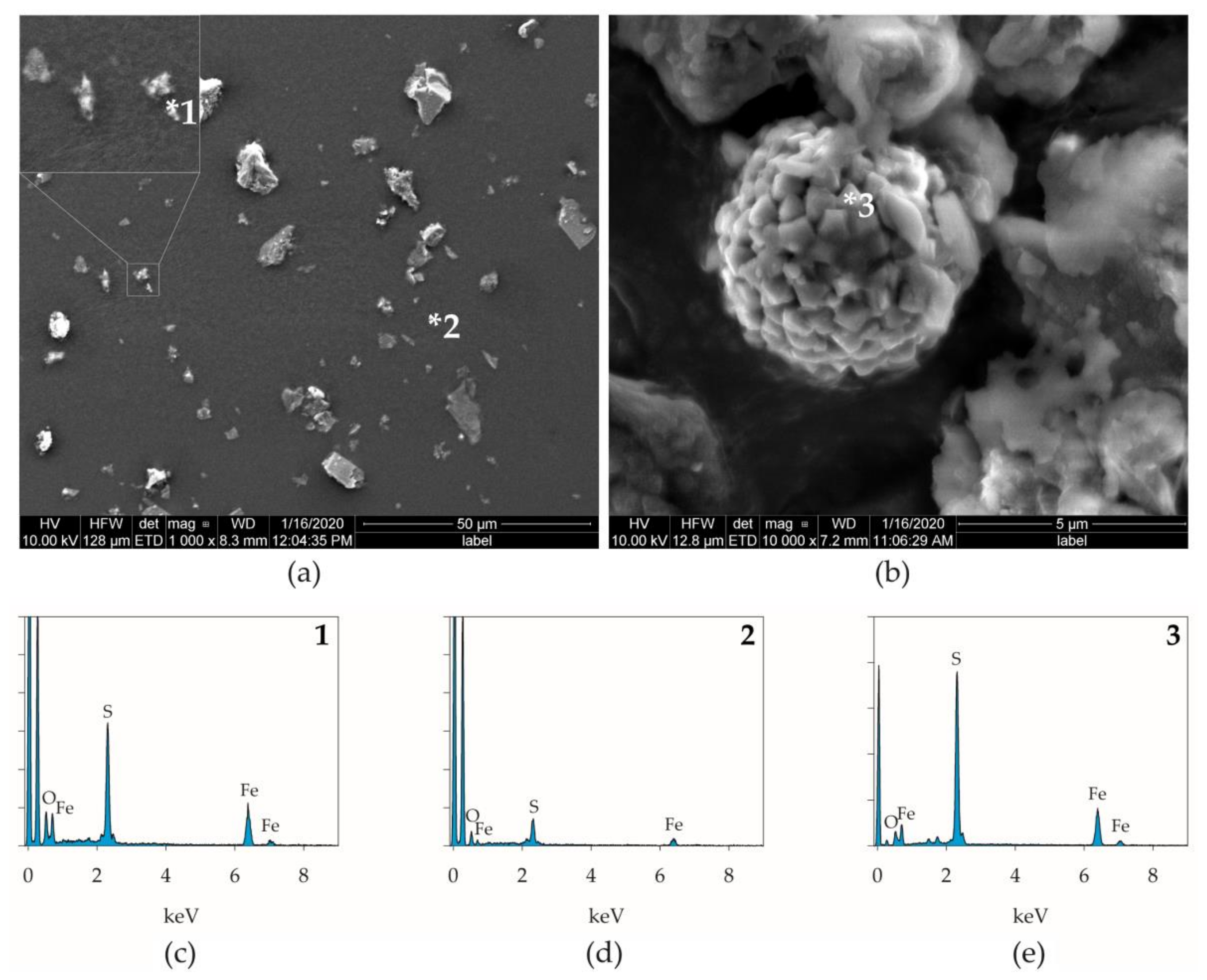 Forests 13 00422 g007 Forests 13 00422 g007
