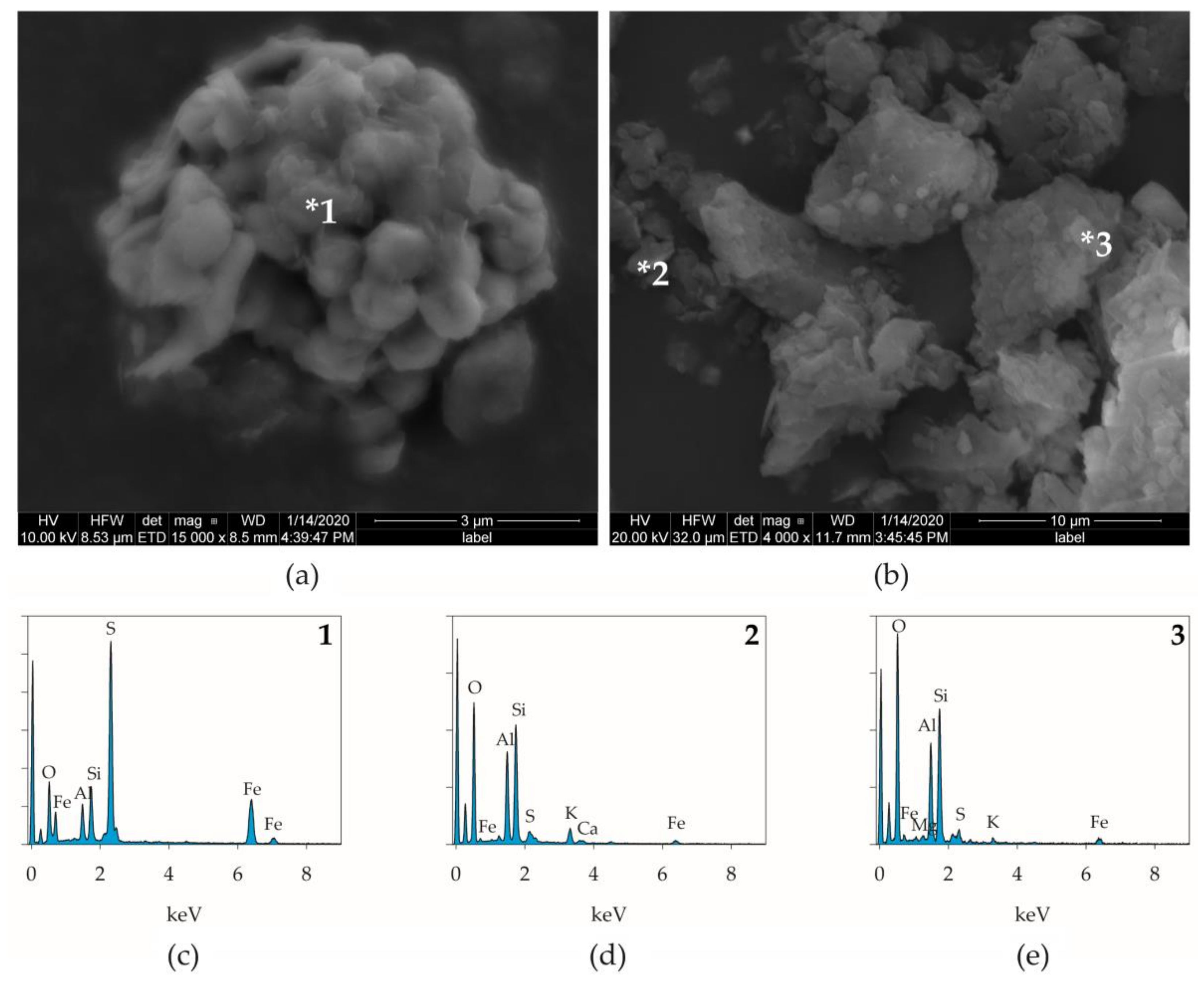 Forests 13 00422 g008 Forests 13 00422 g008