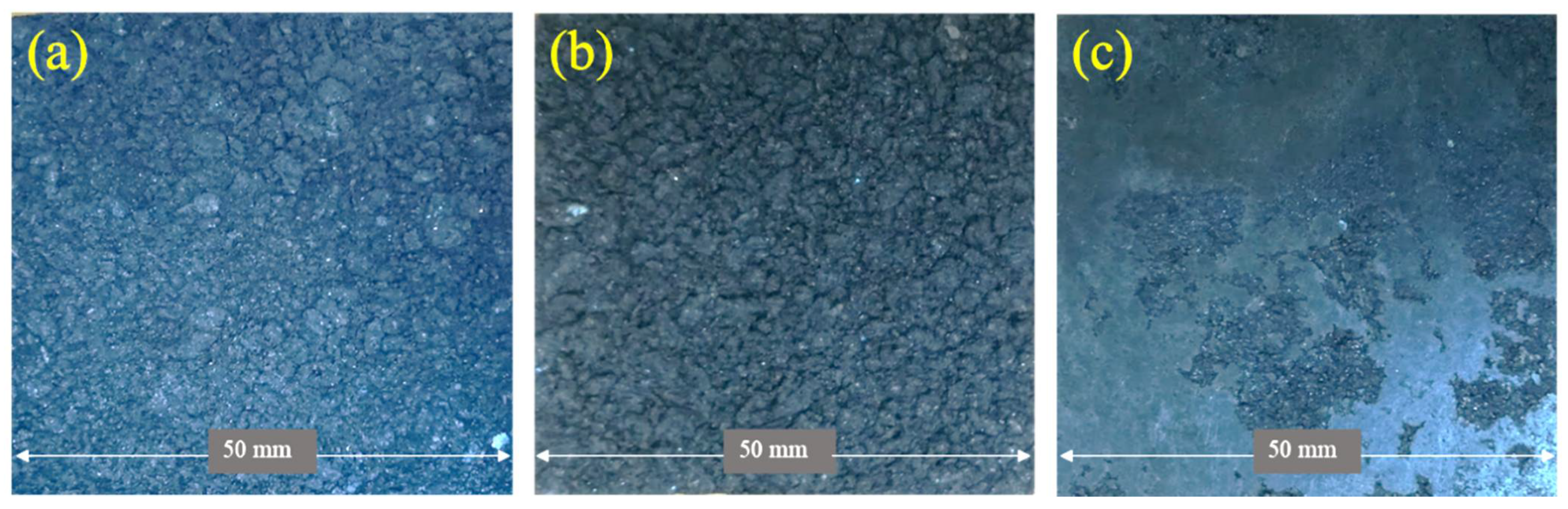 Forests 13 00427 g002 550