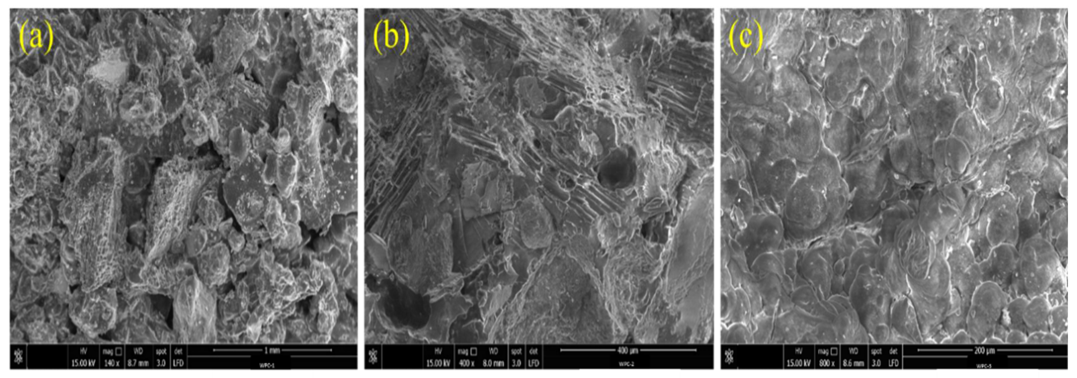 Forests 13 00427 g006 550