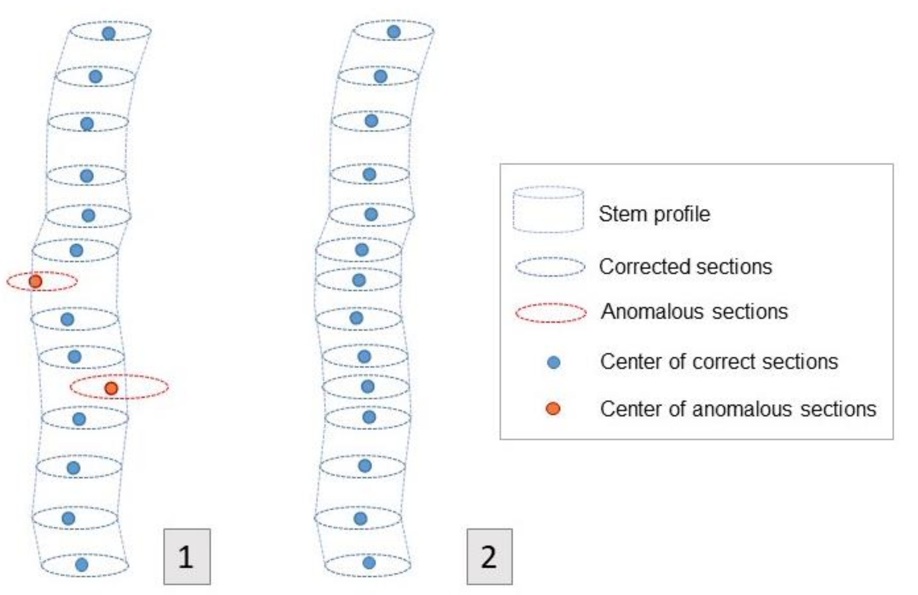 Forests 13 00431 g002