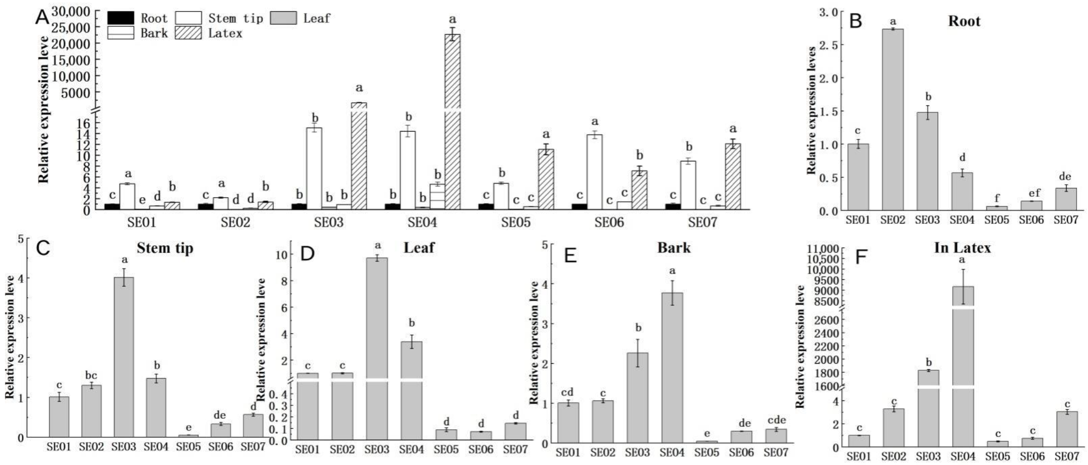 Forests 13 00433 g007 Forests 13 00433 g007