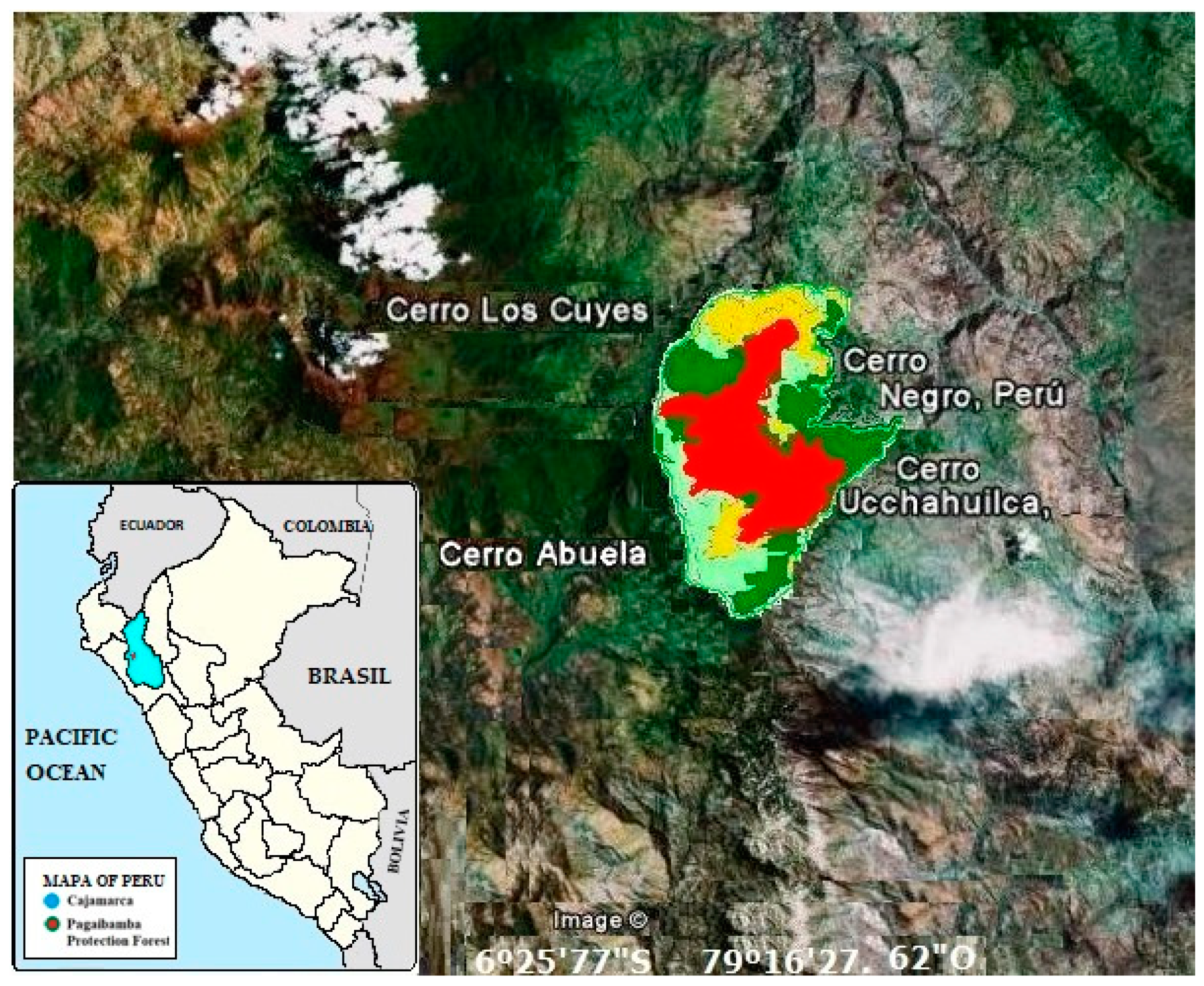 Forests 13 00436 g001 Forests 13 00436 g001