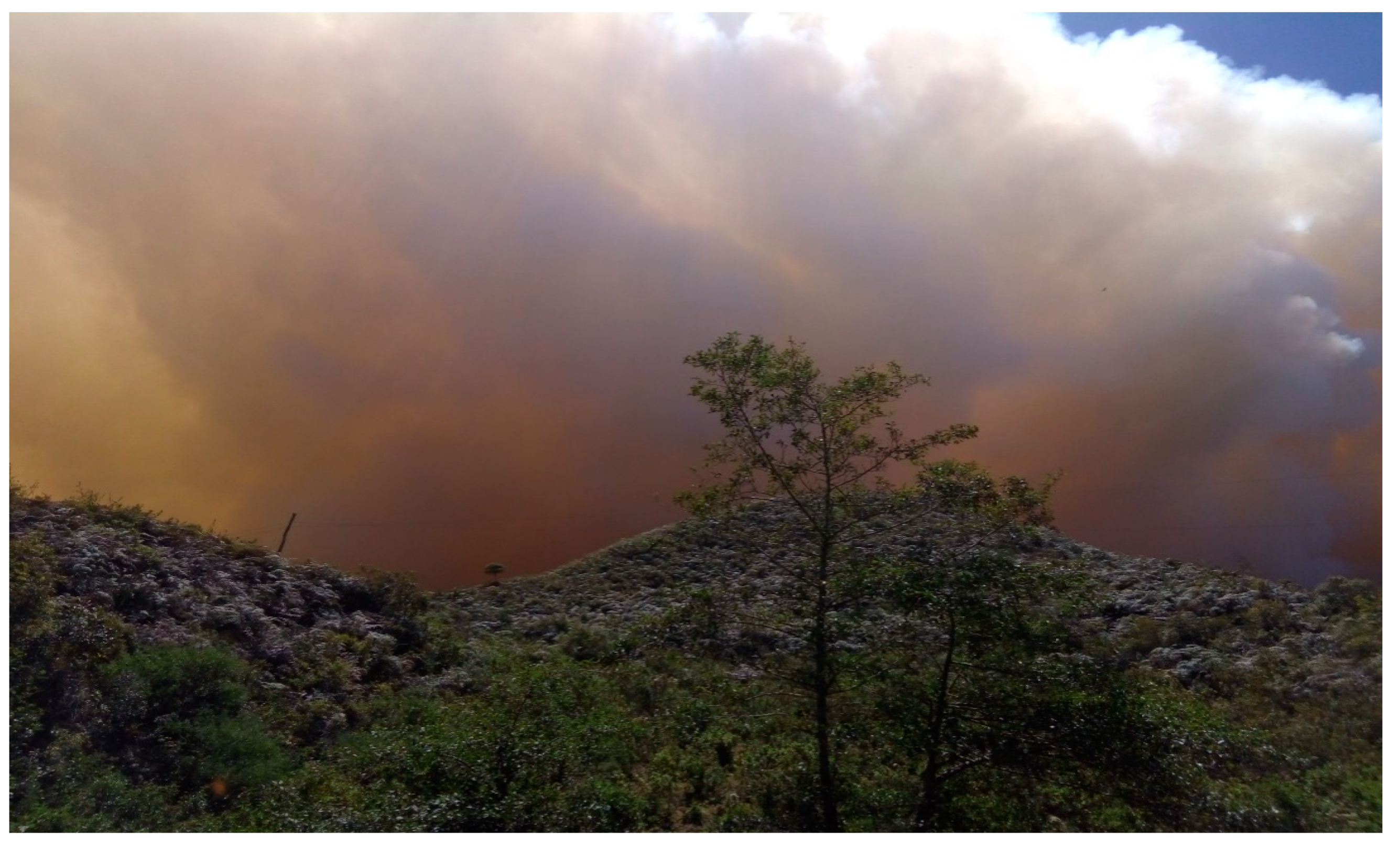 Forests 13 00436 g008 Forests 13 00436 g008