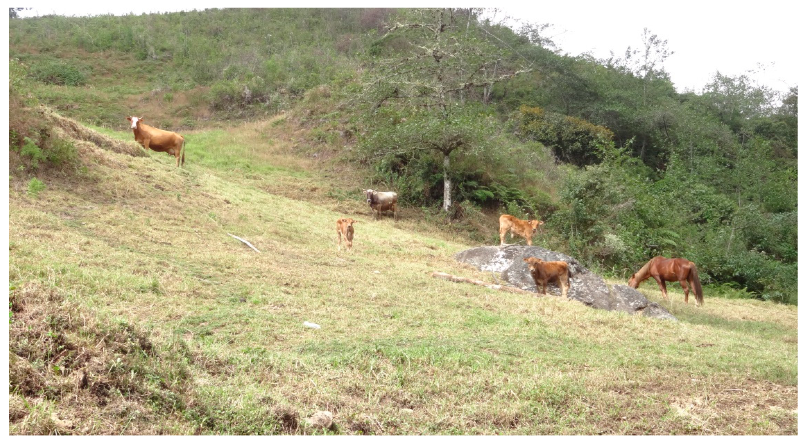 Forests 13 00436 g009 Forests 13 00436 g009