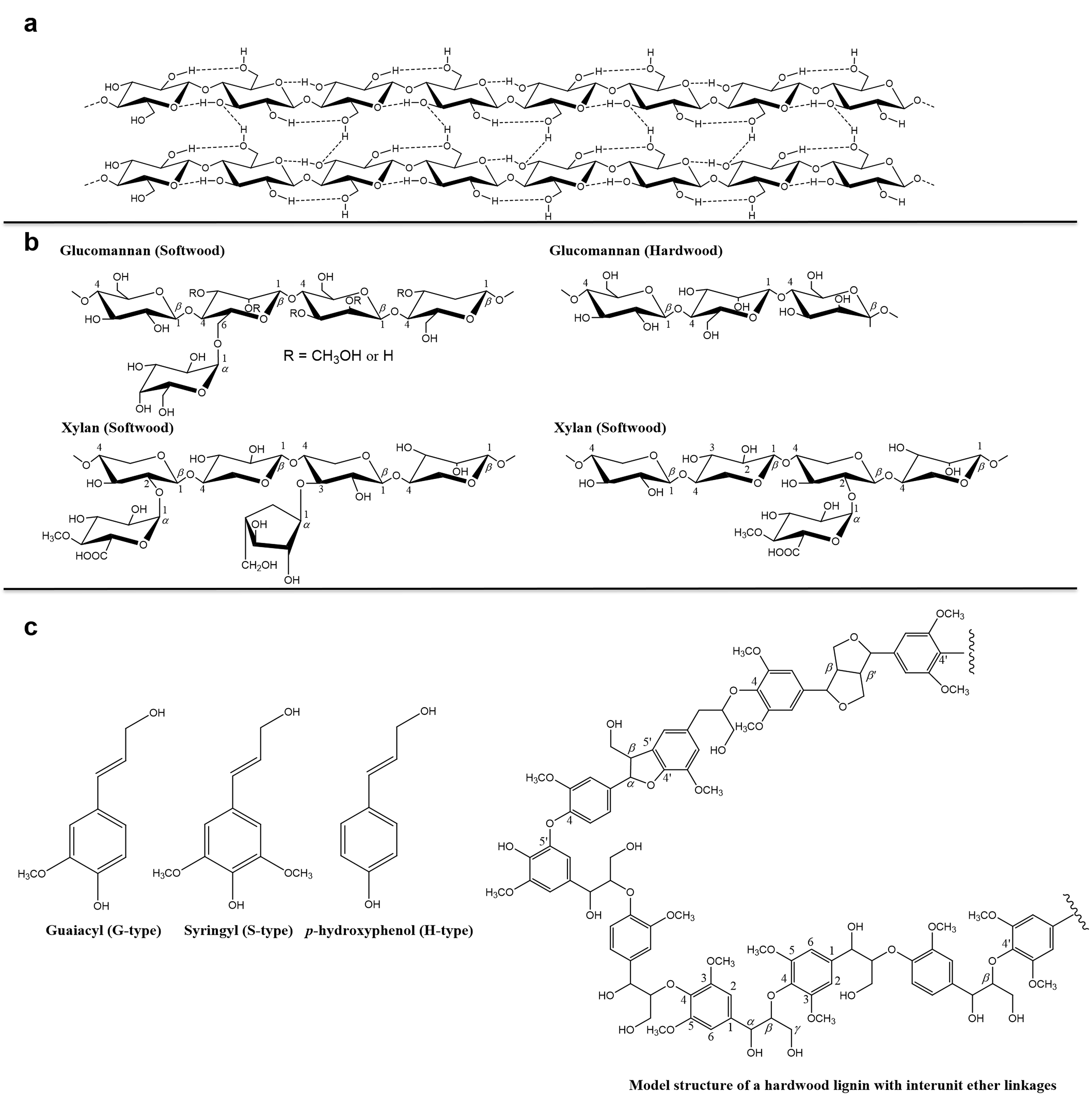 Forests 13 00439 g001 550