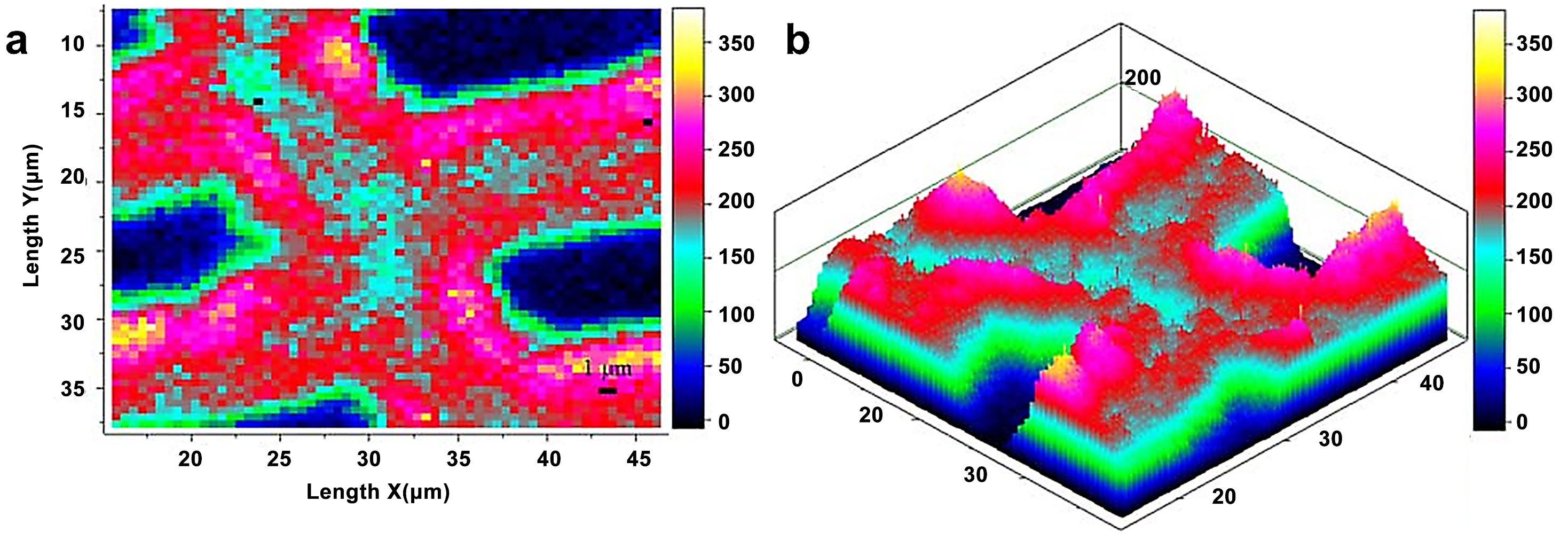 Forests 13 00439 g004 550