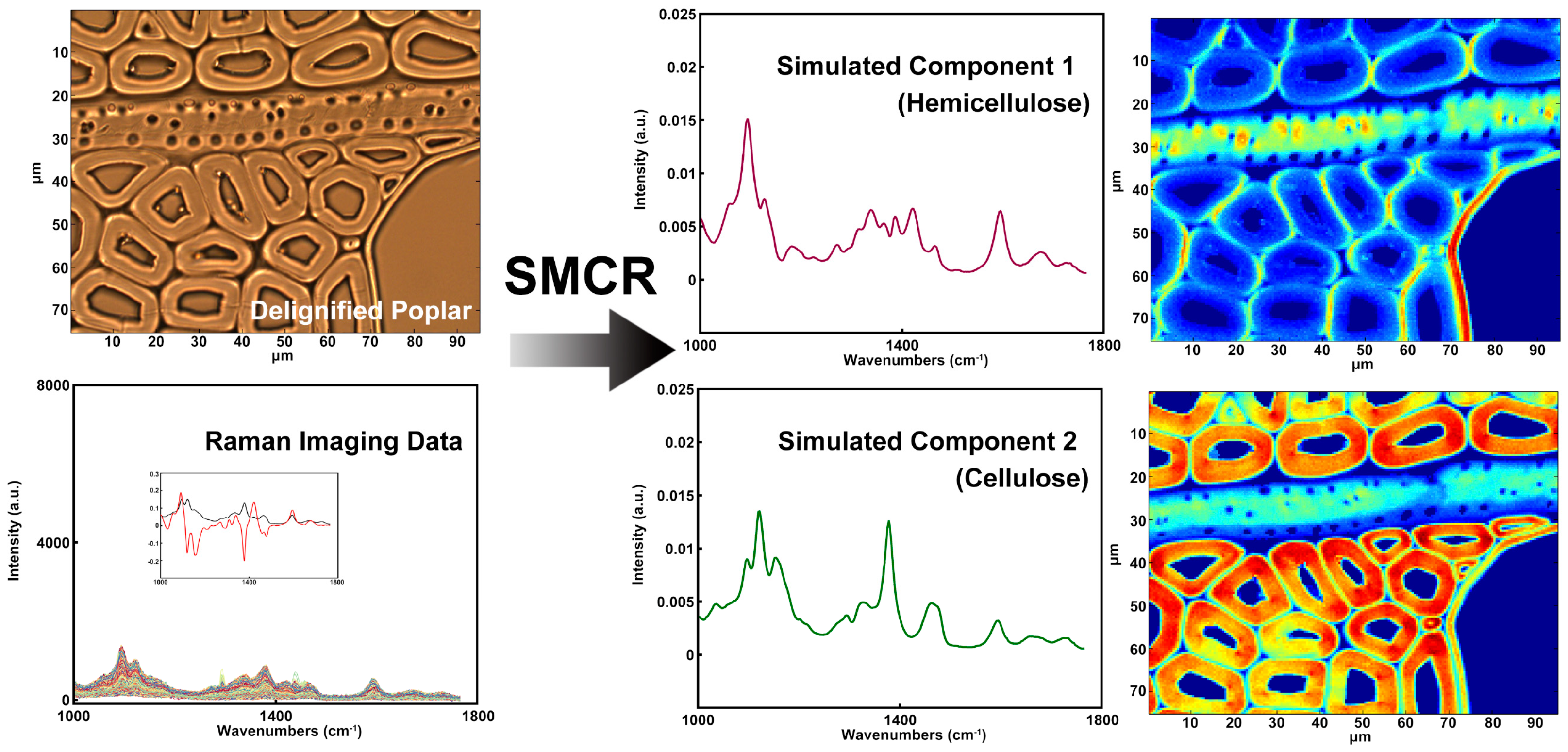 Forests 13 00439 g007 550