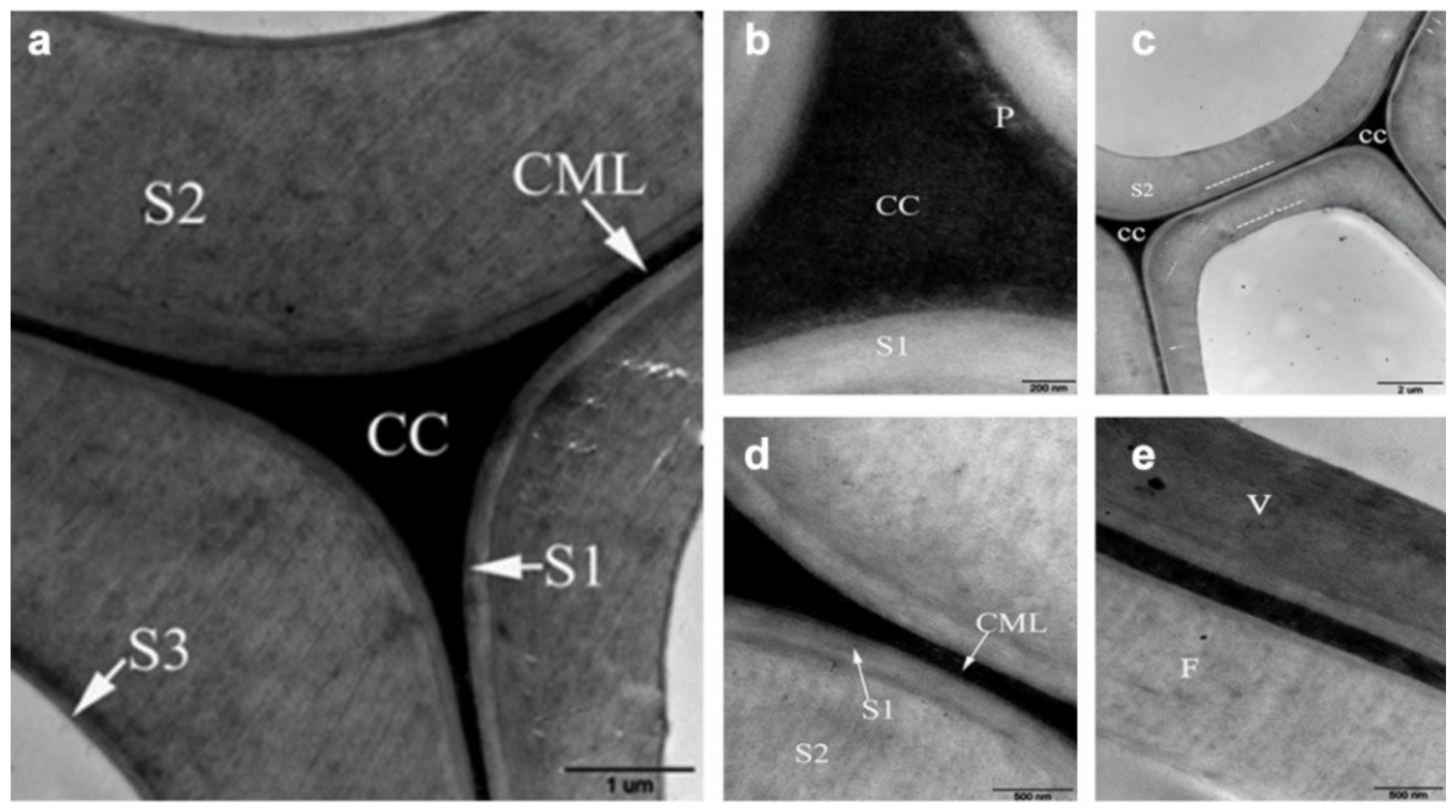 Forests 13 00439 g008 550