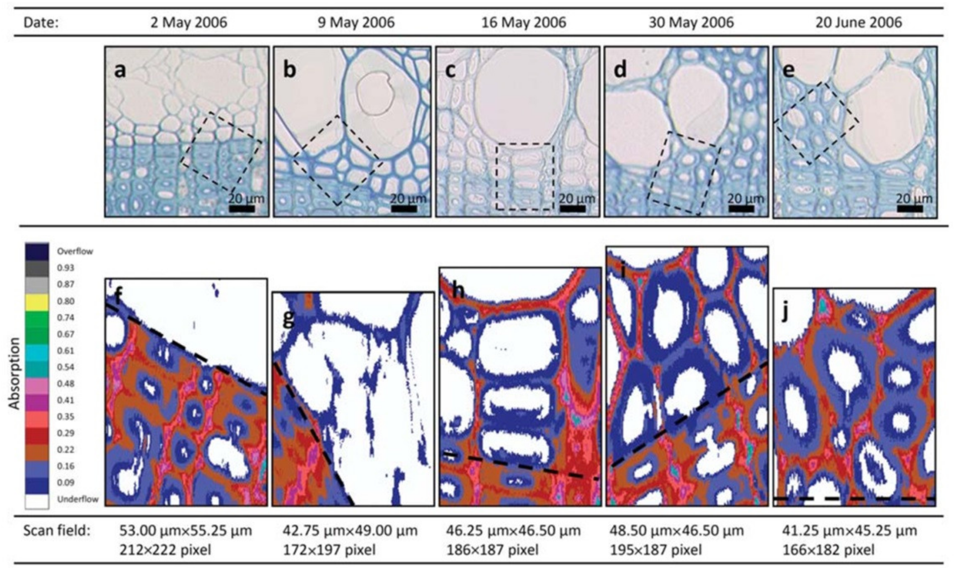 Forests 13 00439 g009 550