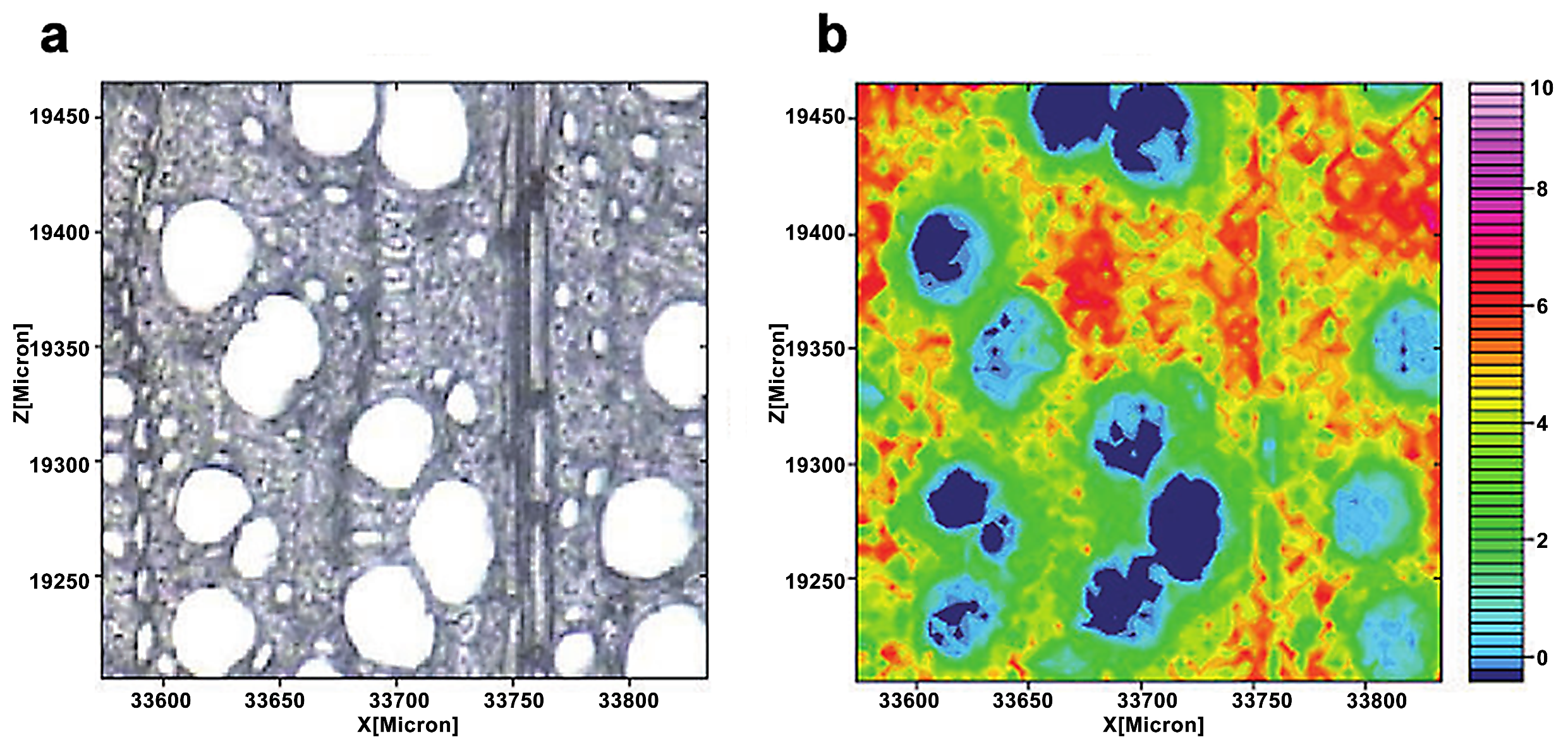 Forests 13 00439 g010 550
