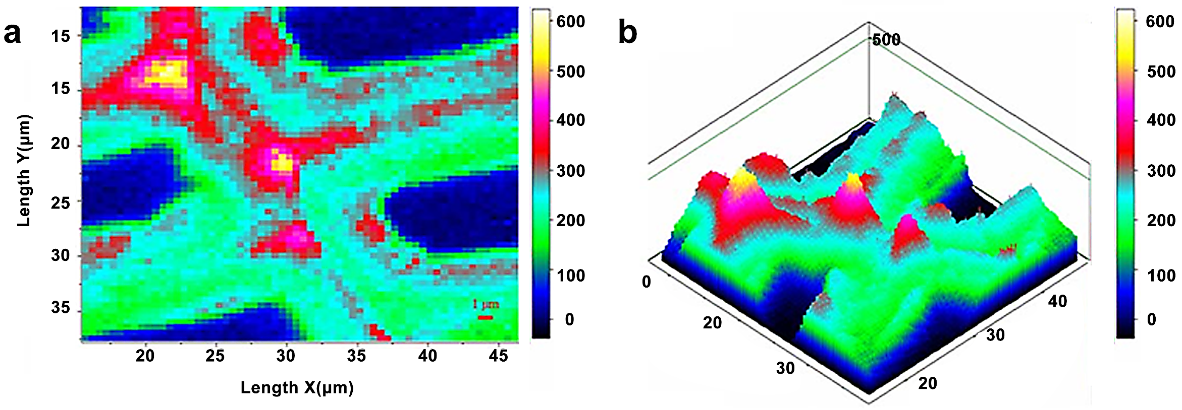 Forests 13 00439 g011 550