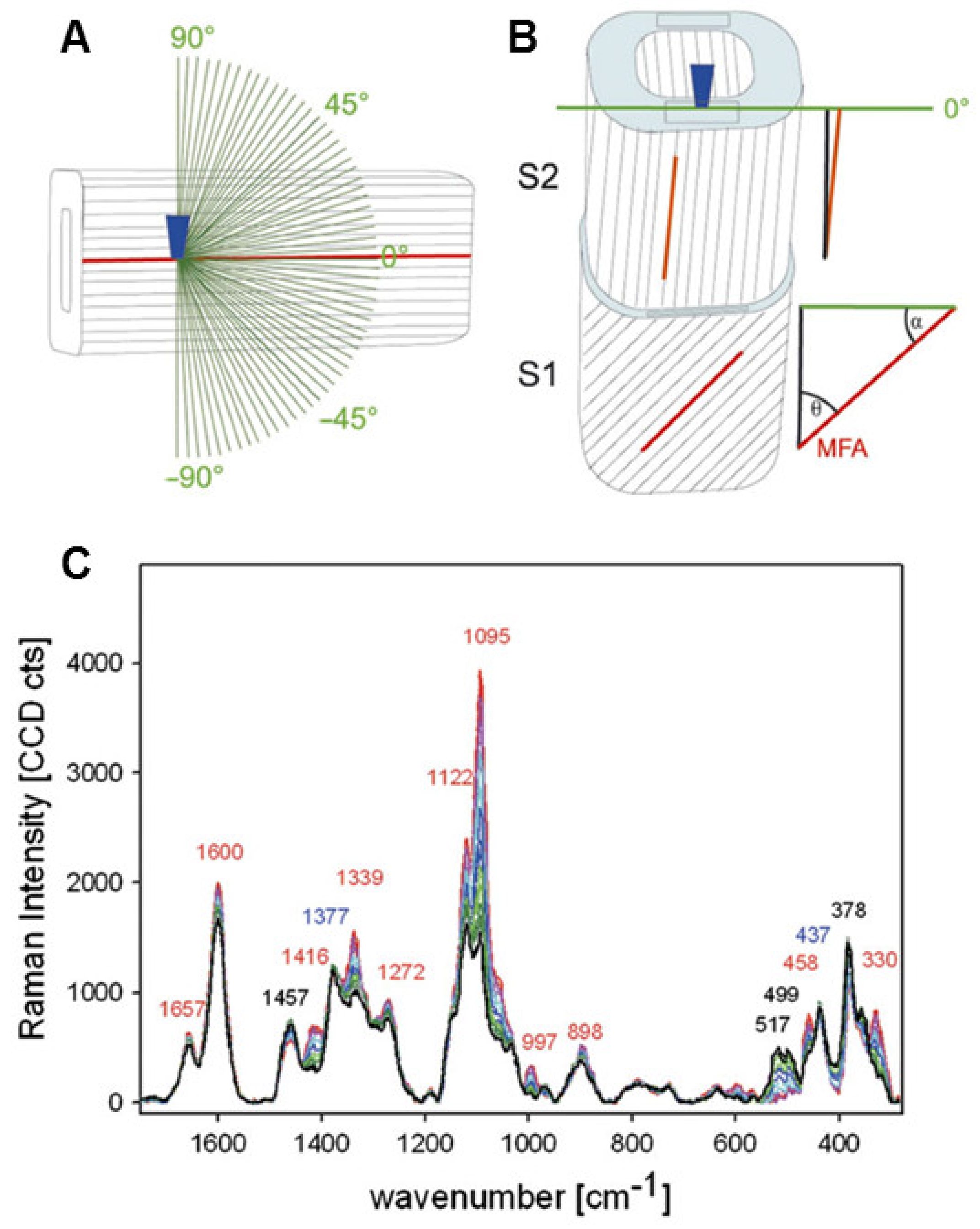 Forests 13 00439 g013 550