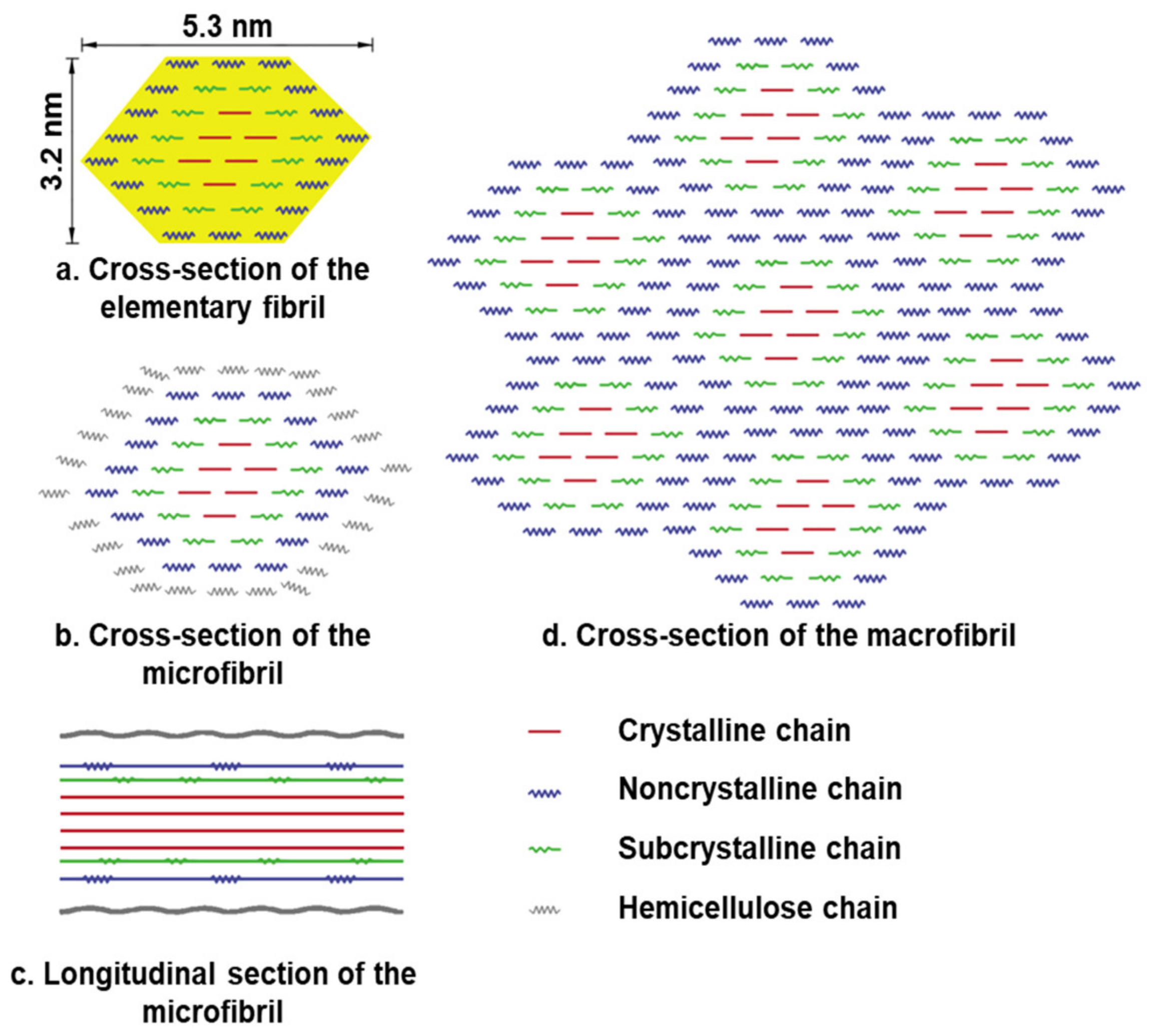 Forests 13 00439 g015 550