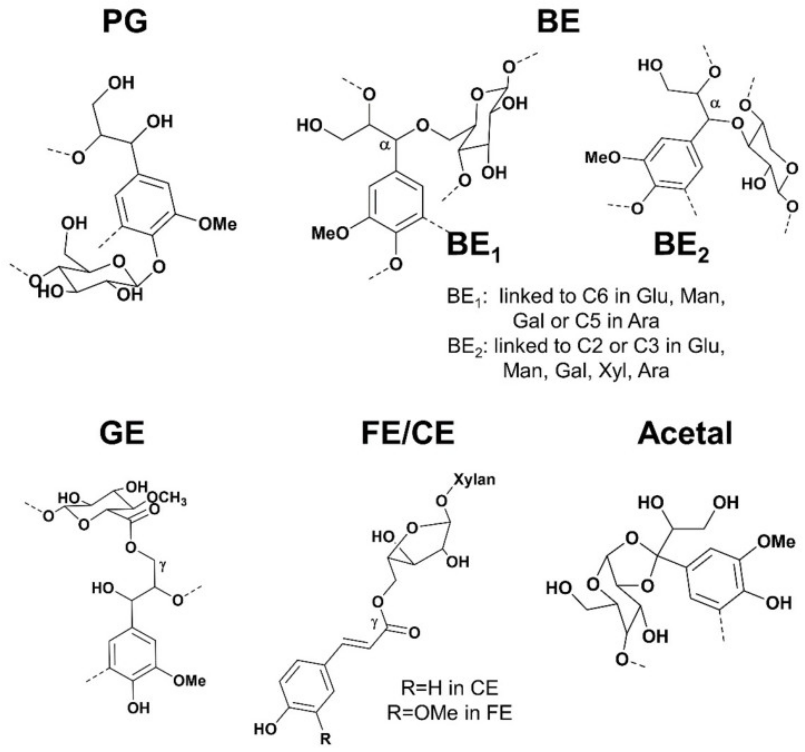 Forests 13 00439 g016 550