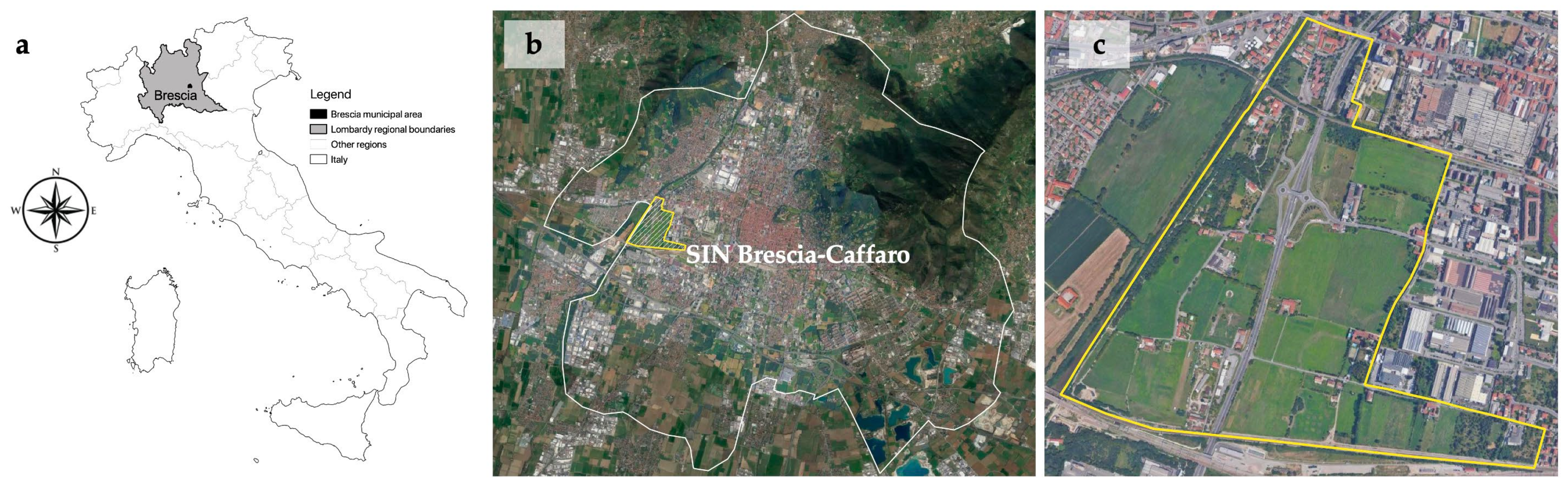 Forests 13 00444 g001