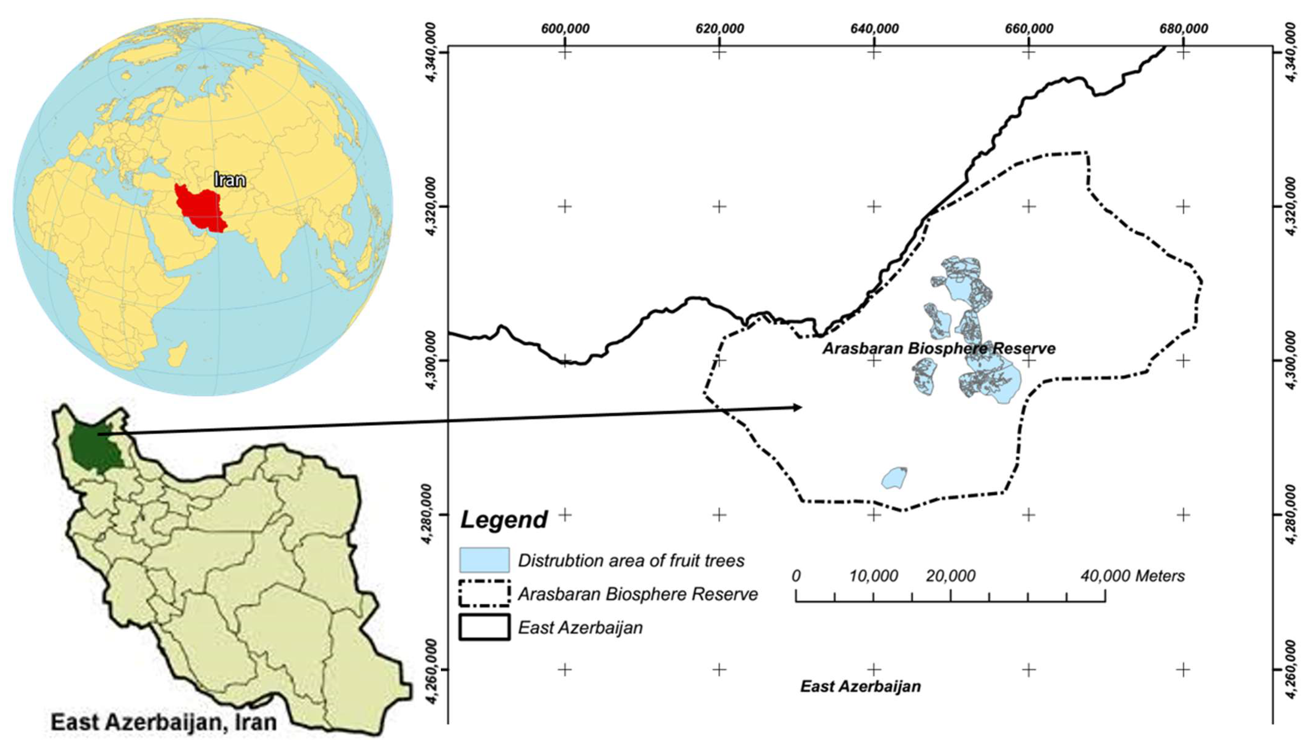 Forests 13 00453 g001 550