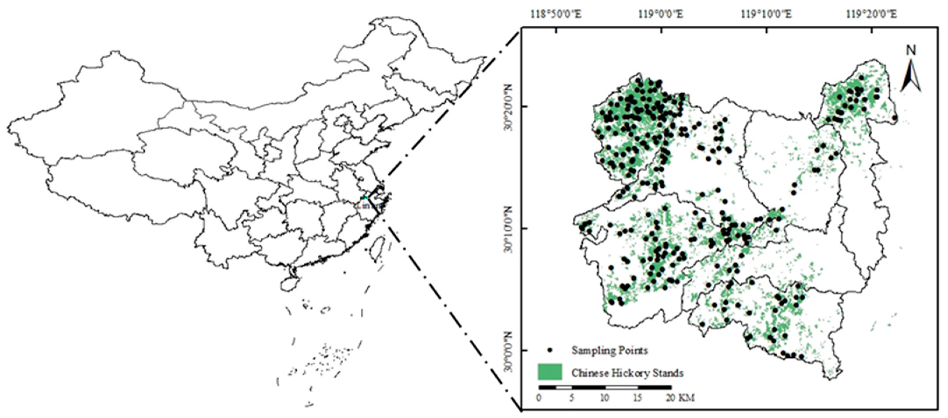 Forests 13 00457 g001 550
