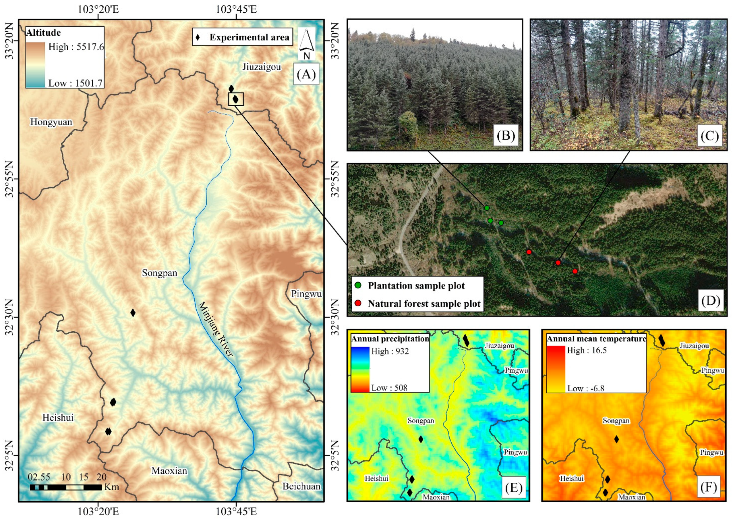 Forests 13 00462 g001